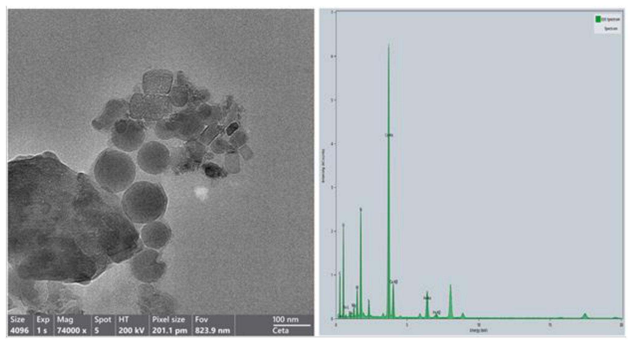 Preprints 220276 g010