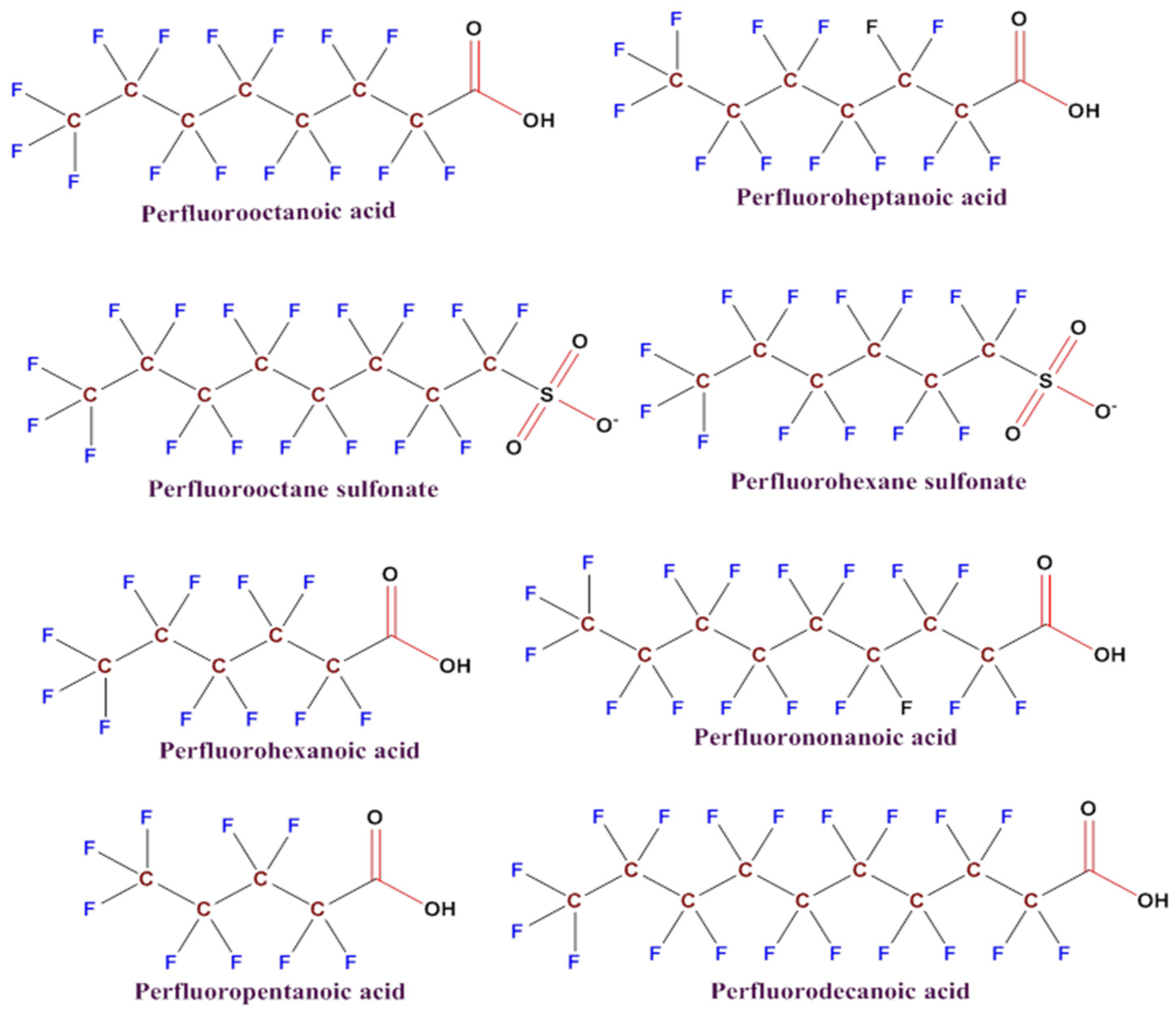 Preprints 96929 g001