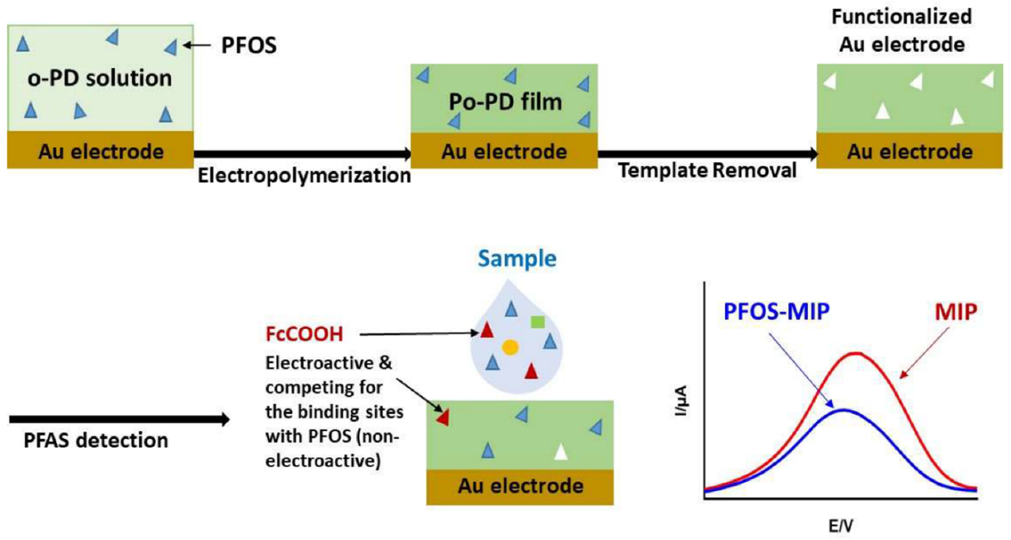 Preprints 96929 g003