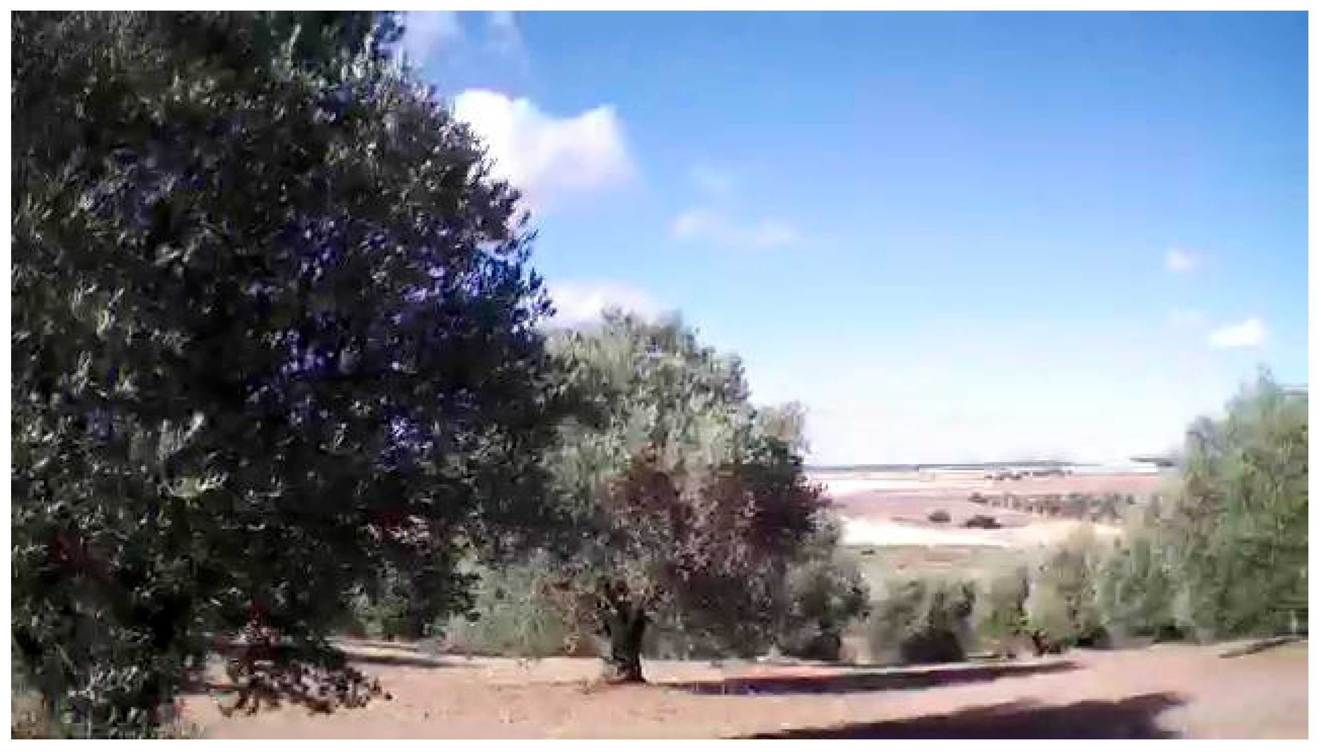 Preprints 172125 g005