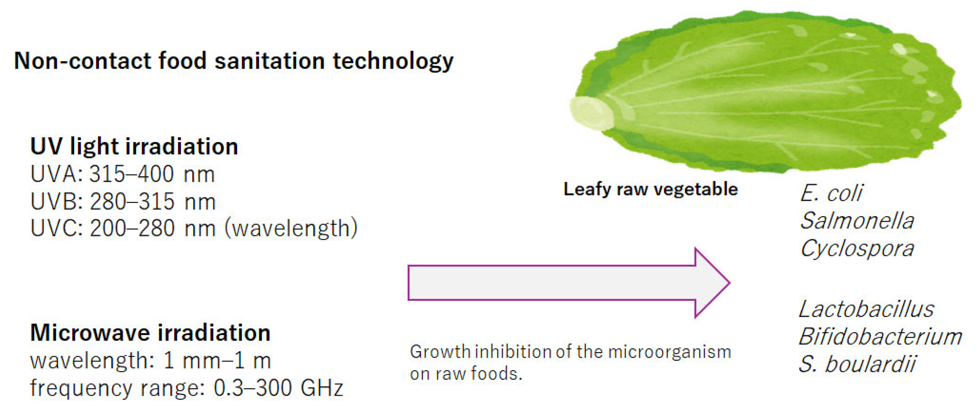 Preprints 138743 g001