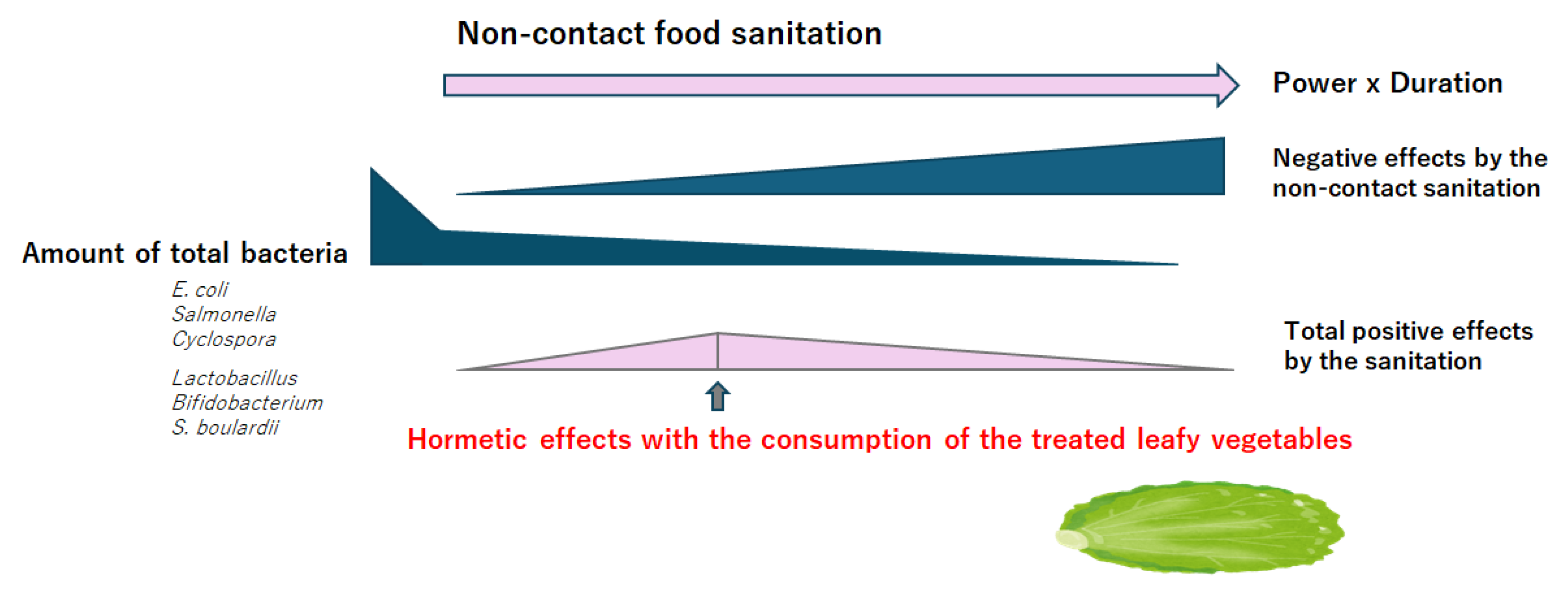 Preprints 138743 g002