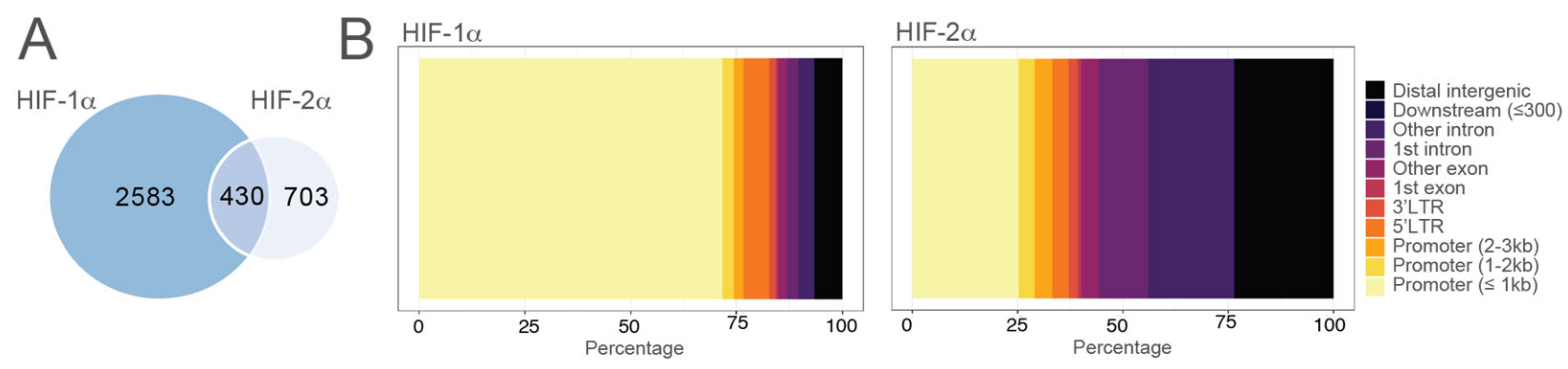 Preprints 151977 g001