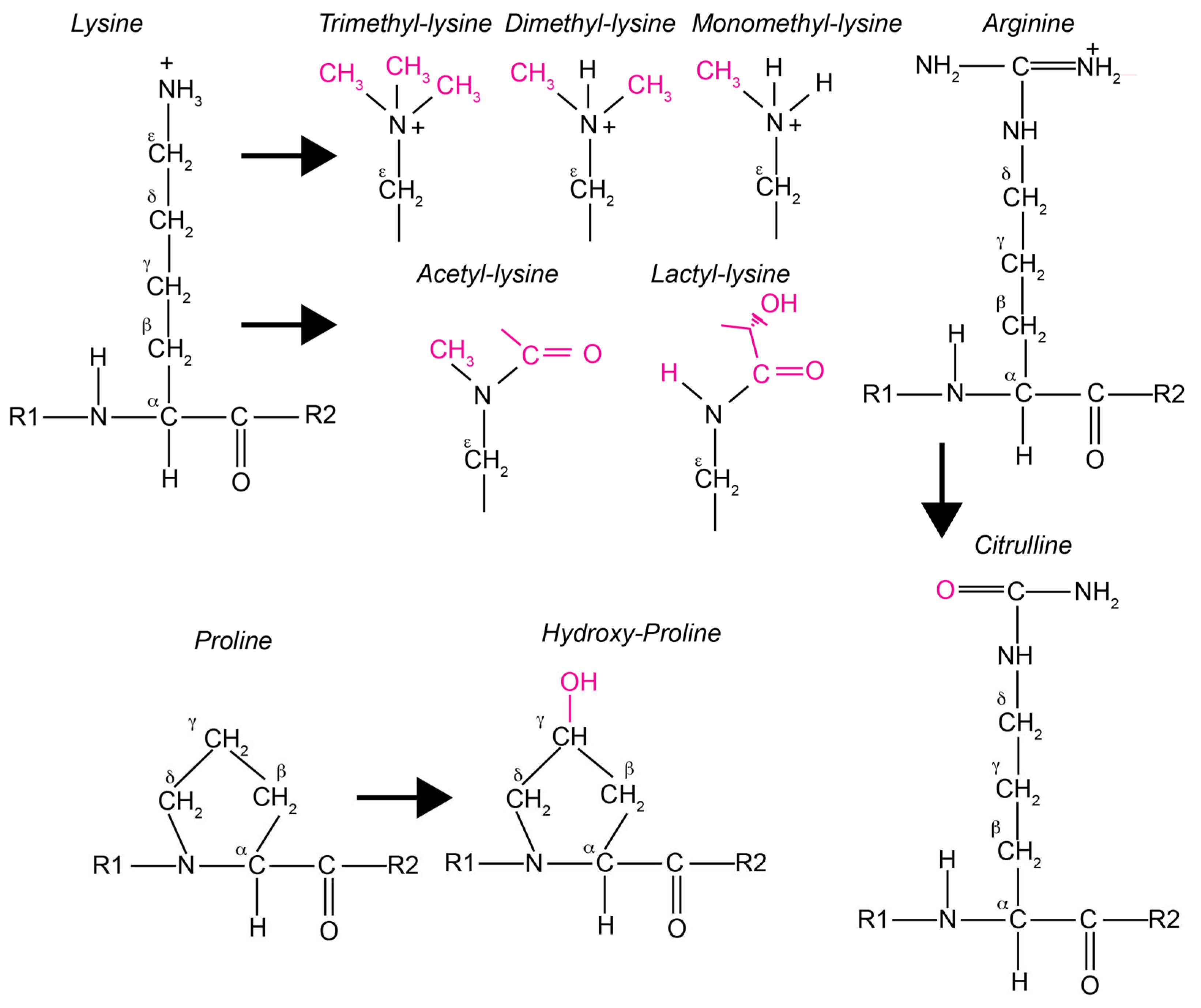 Preprints 151977 g002
