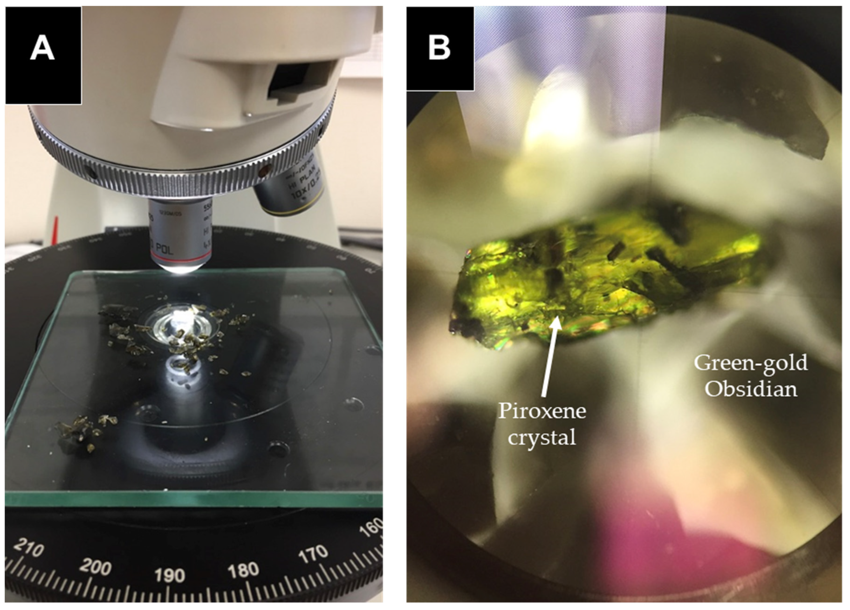 Preprints 158113 g002