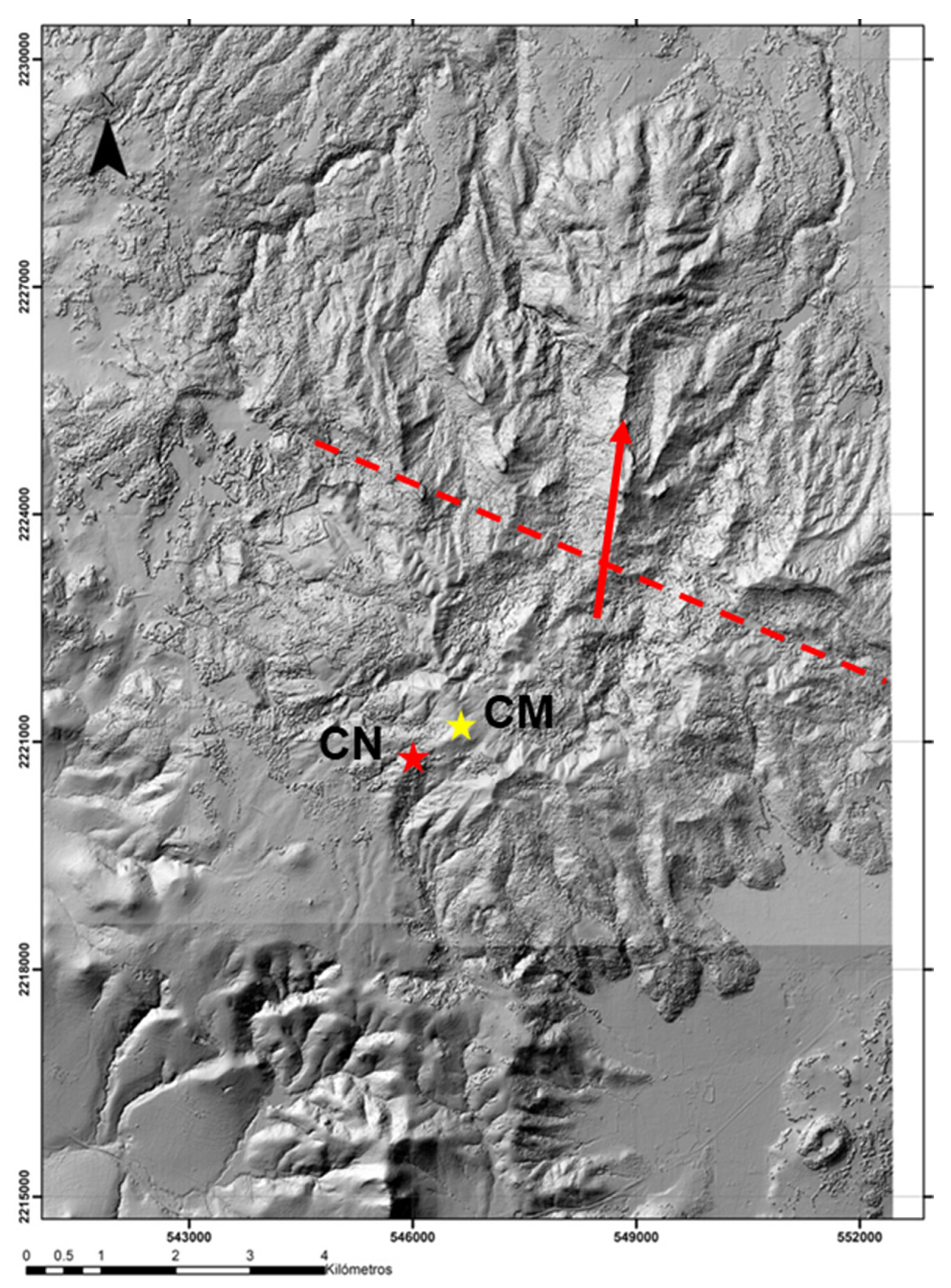 Preprints 158113 g003