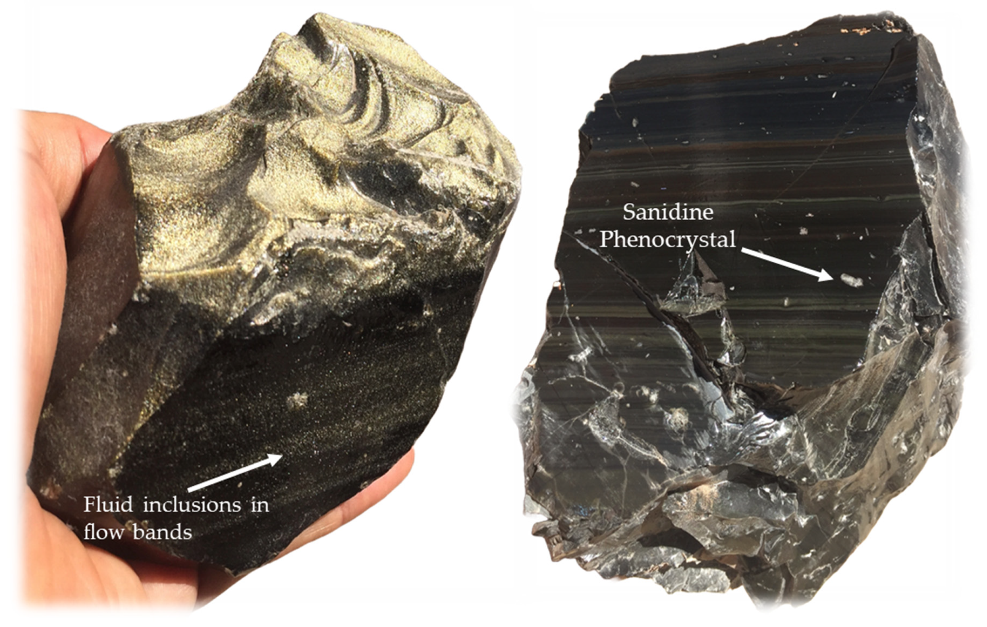 Preprints 158113 g005