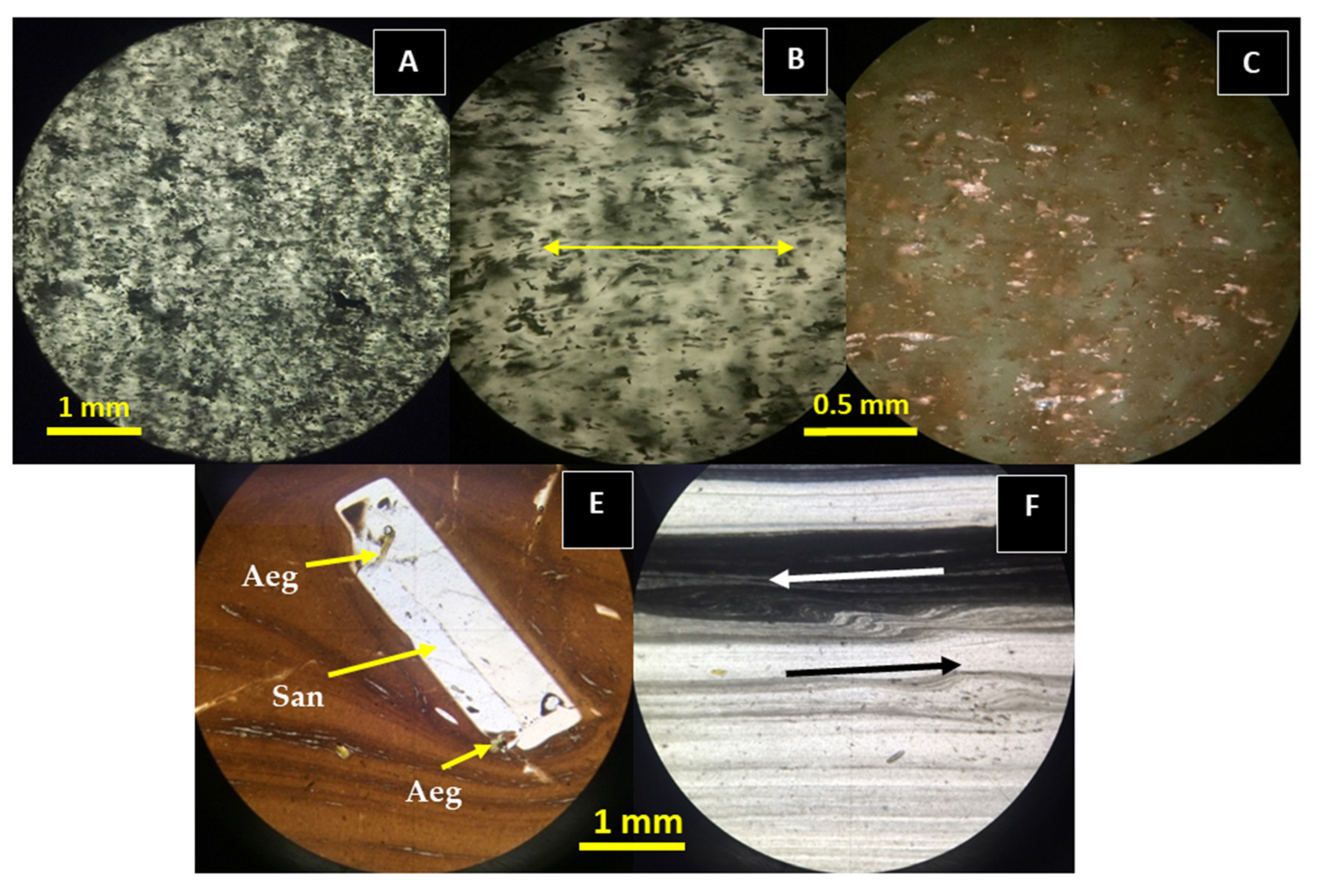 Preprints 158113 g006