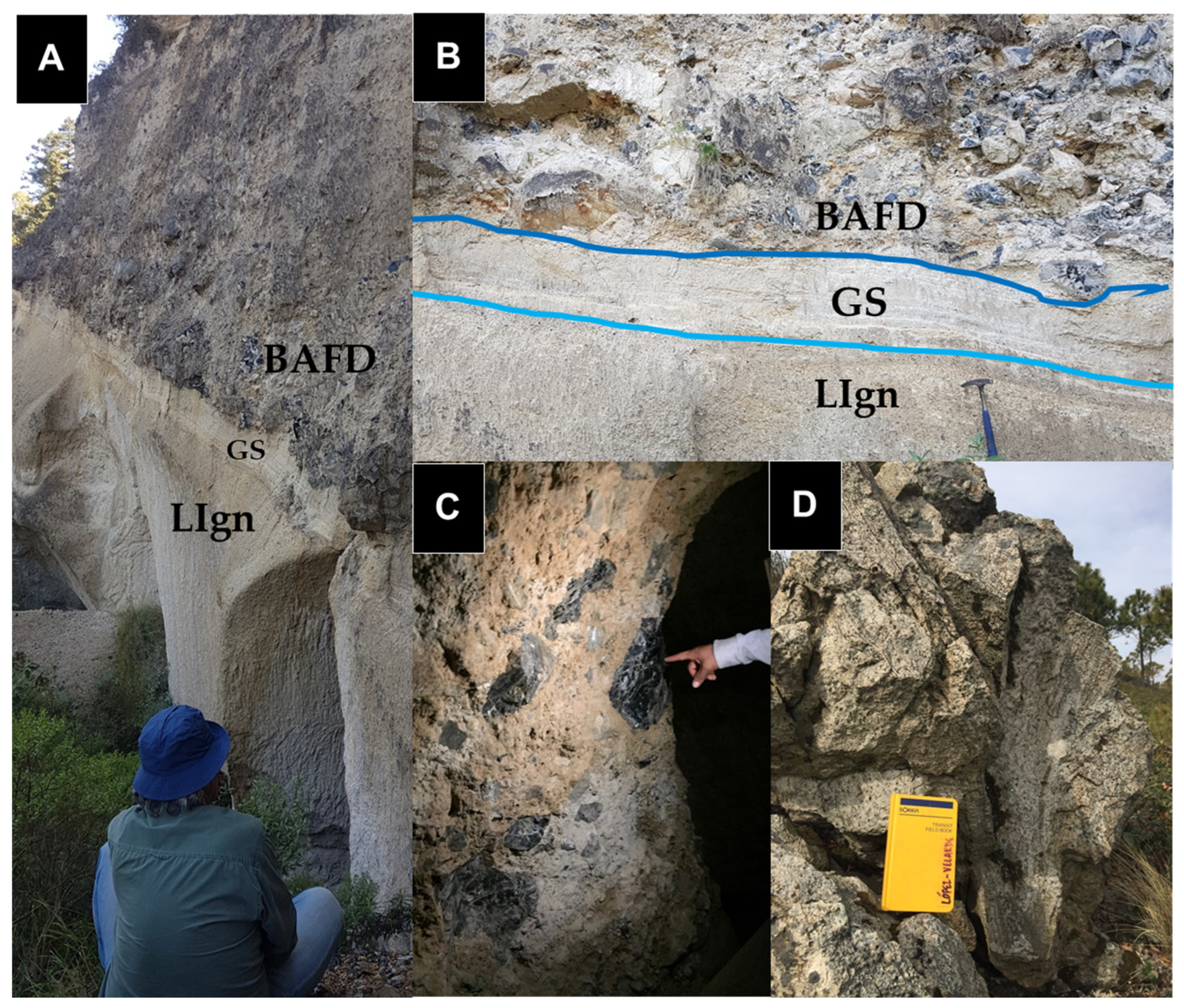 Preprints 158113 g012