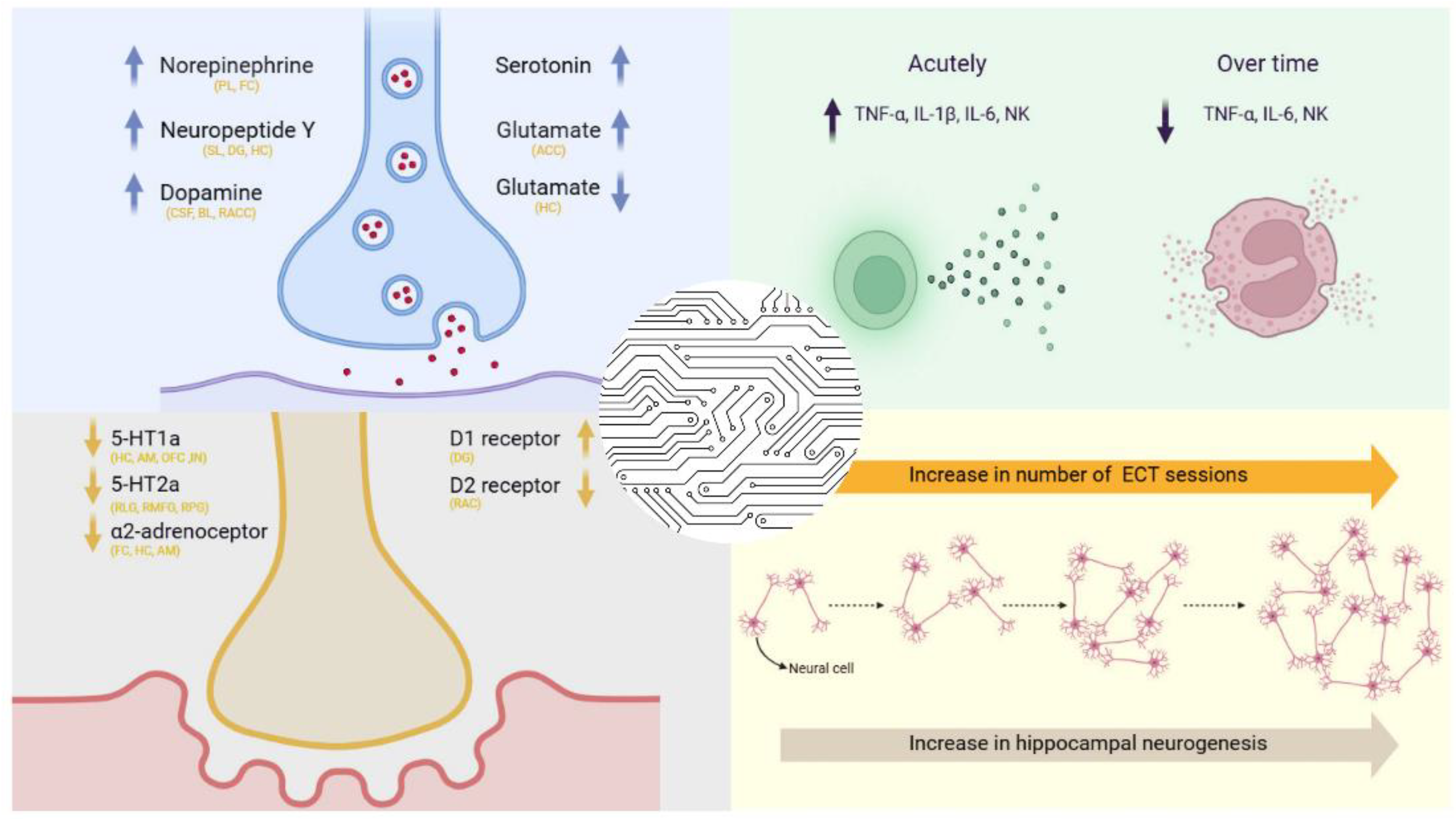 Preprints 154613 g001