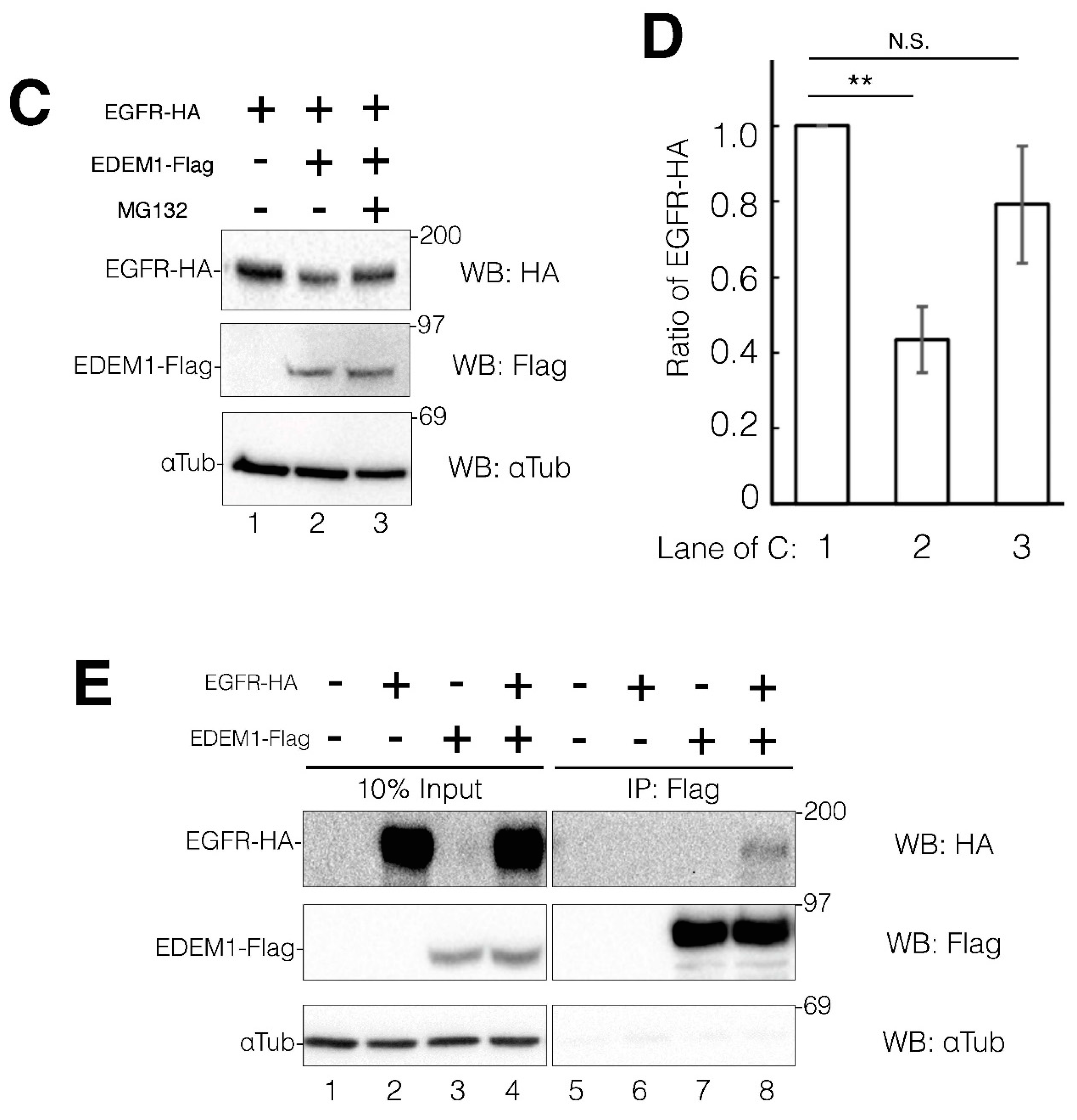 Preprints 76212 g005b