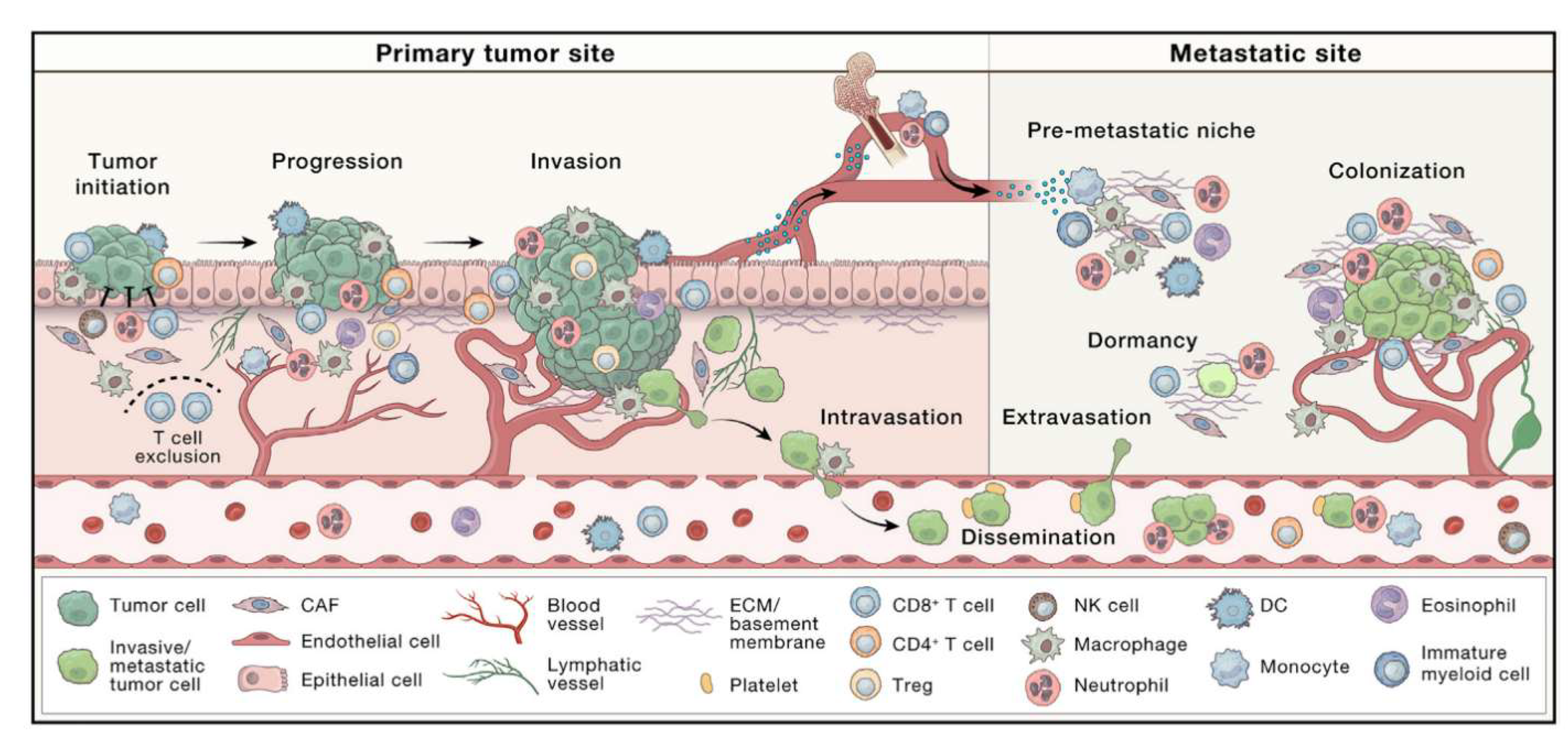 Preprints 194116 g001