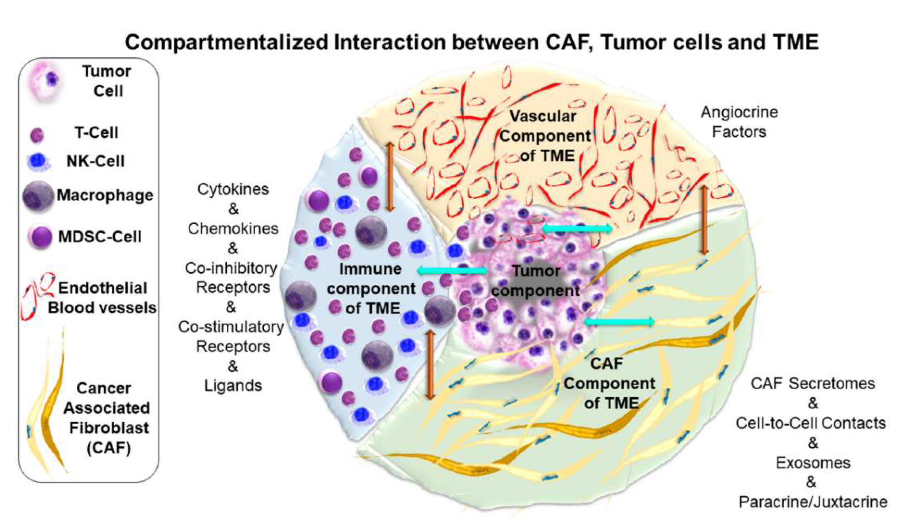 Preprints 194116 g002