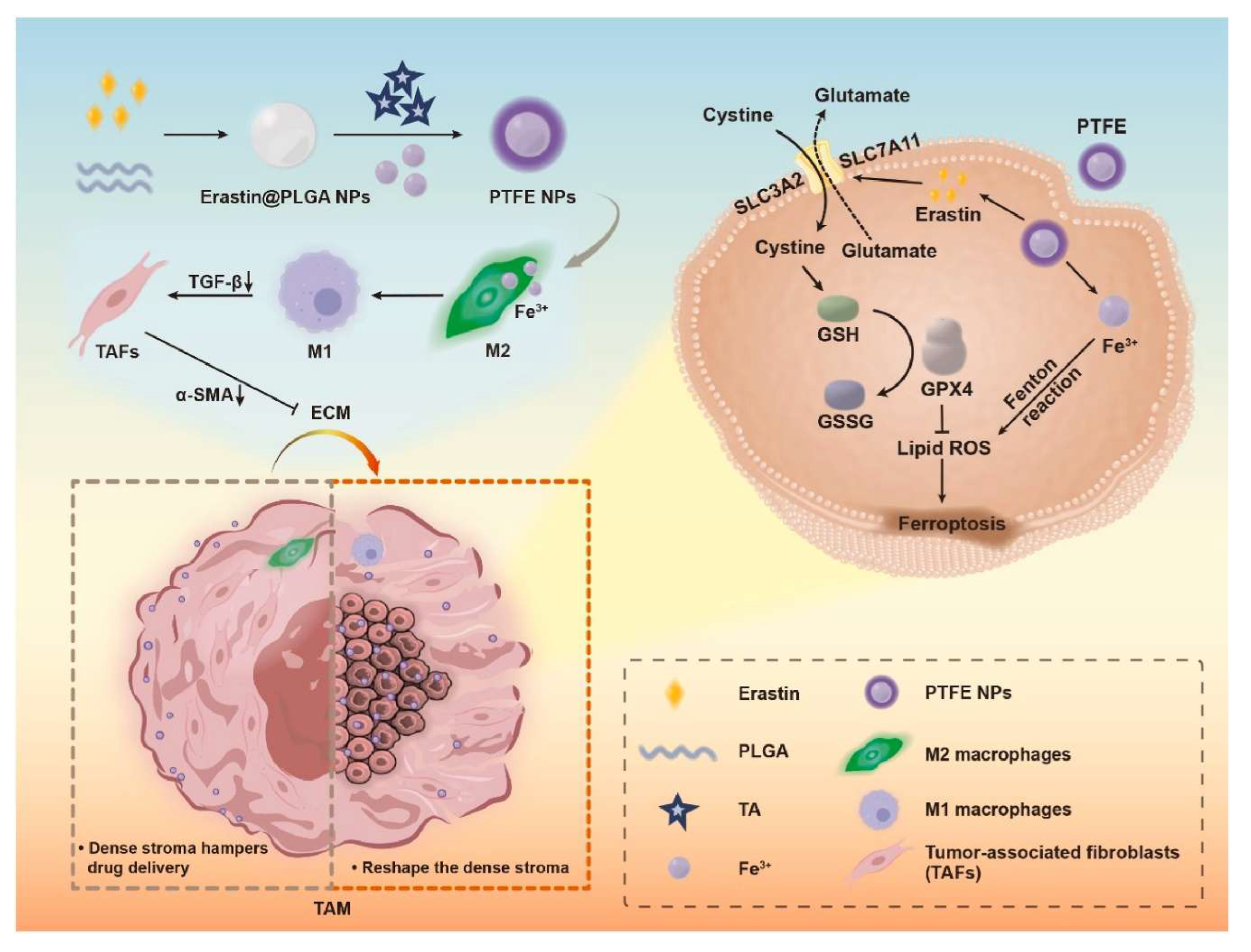 Preprints 194116 g003