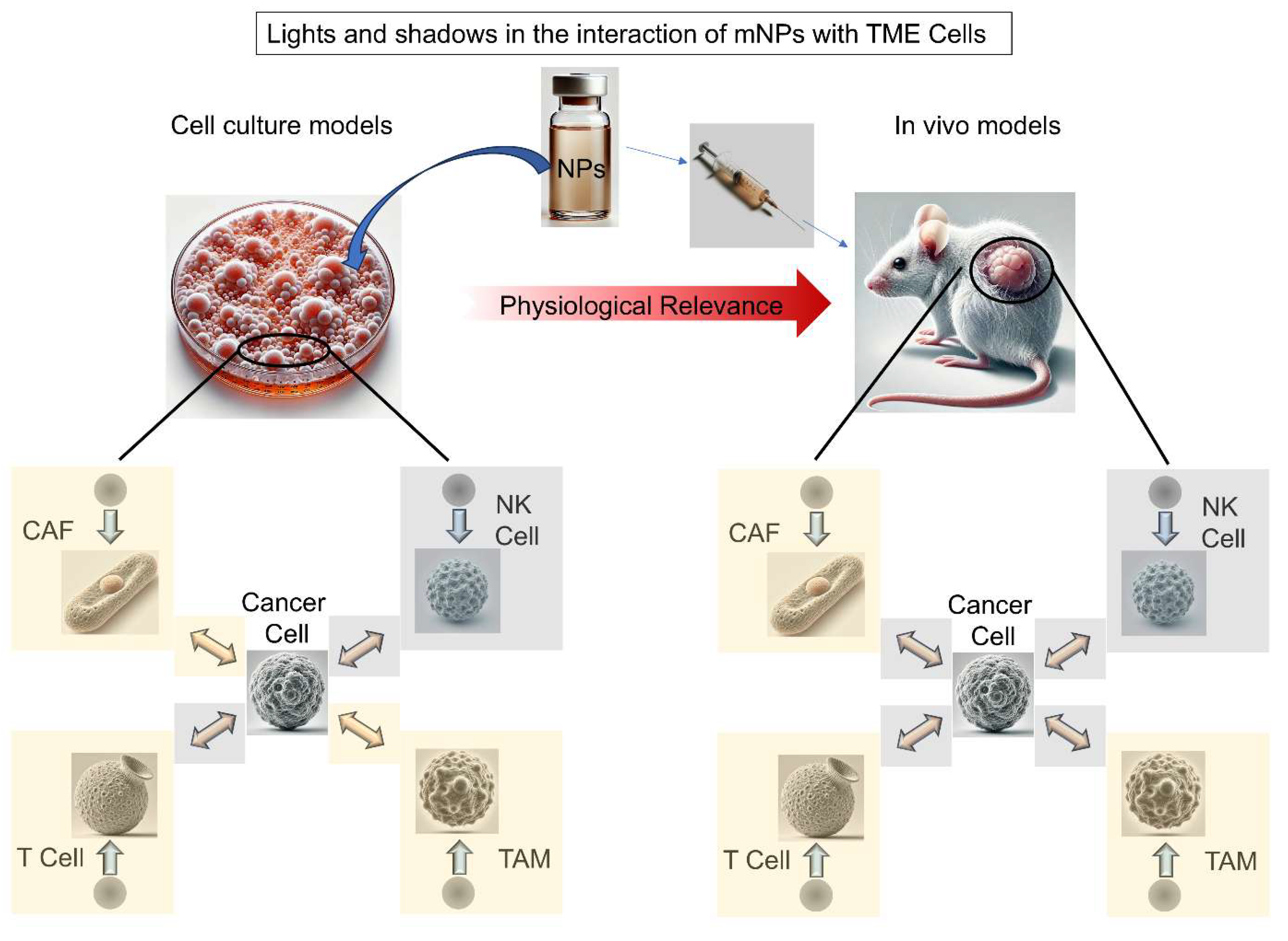 Preprints 194116 g005