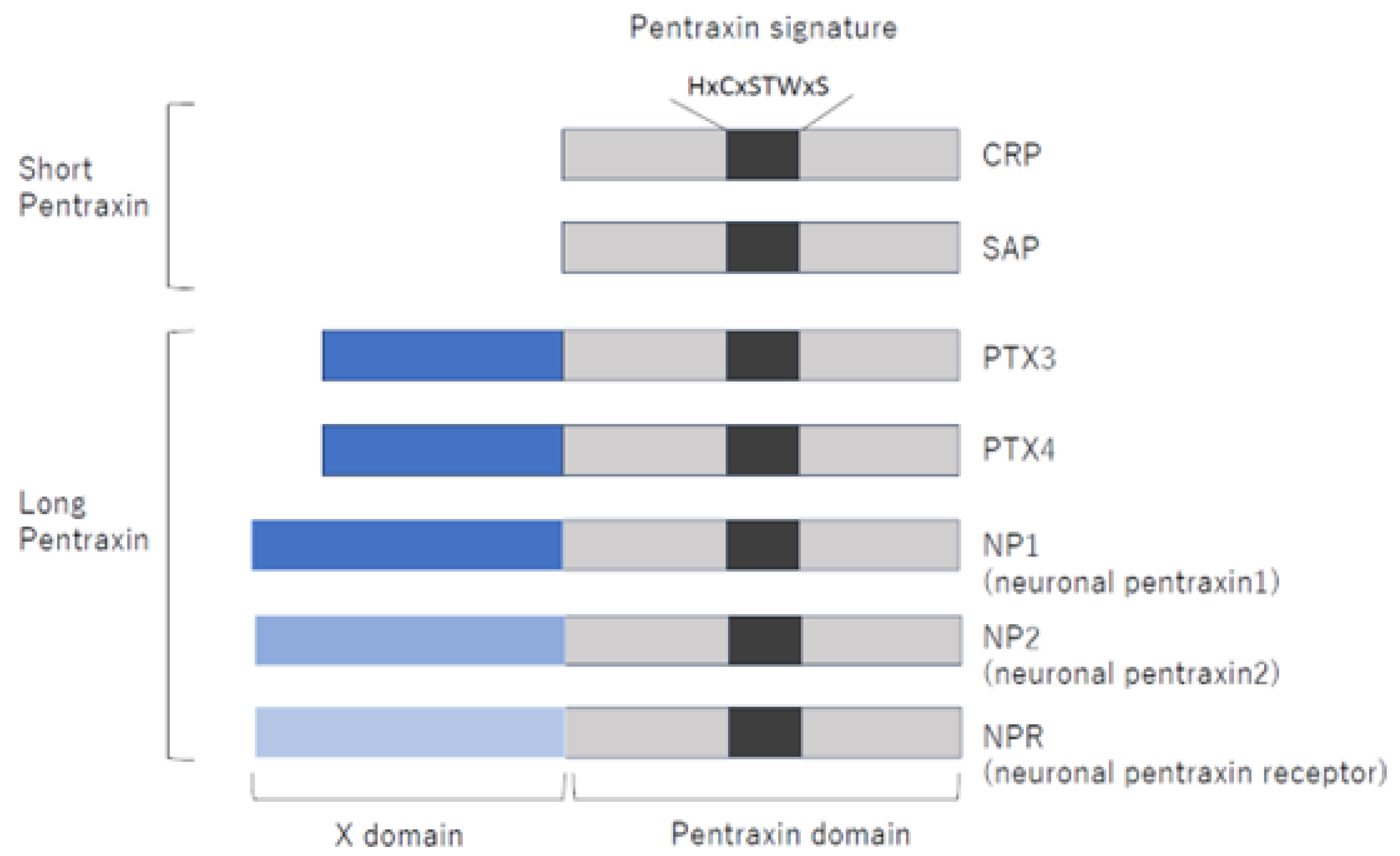 Preprints 213102 g001