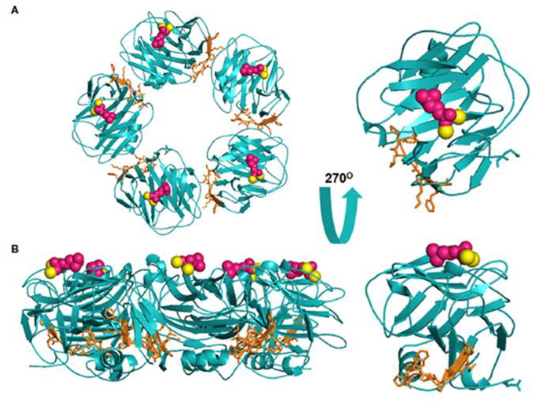 Preprints 213102 g003