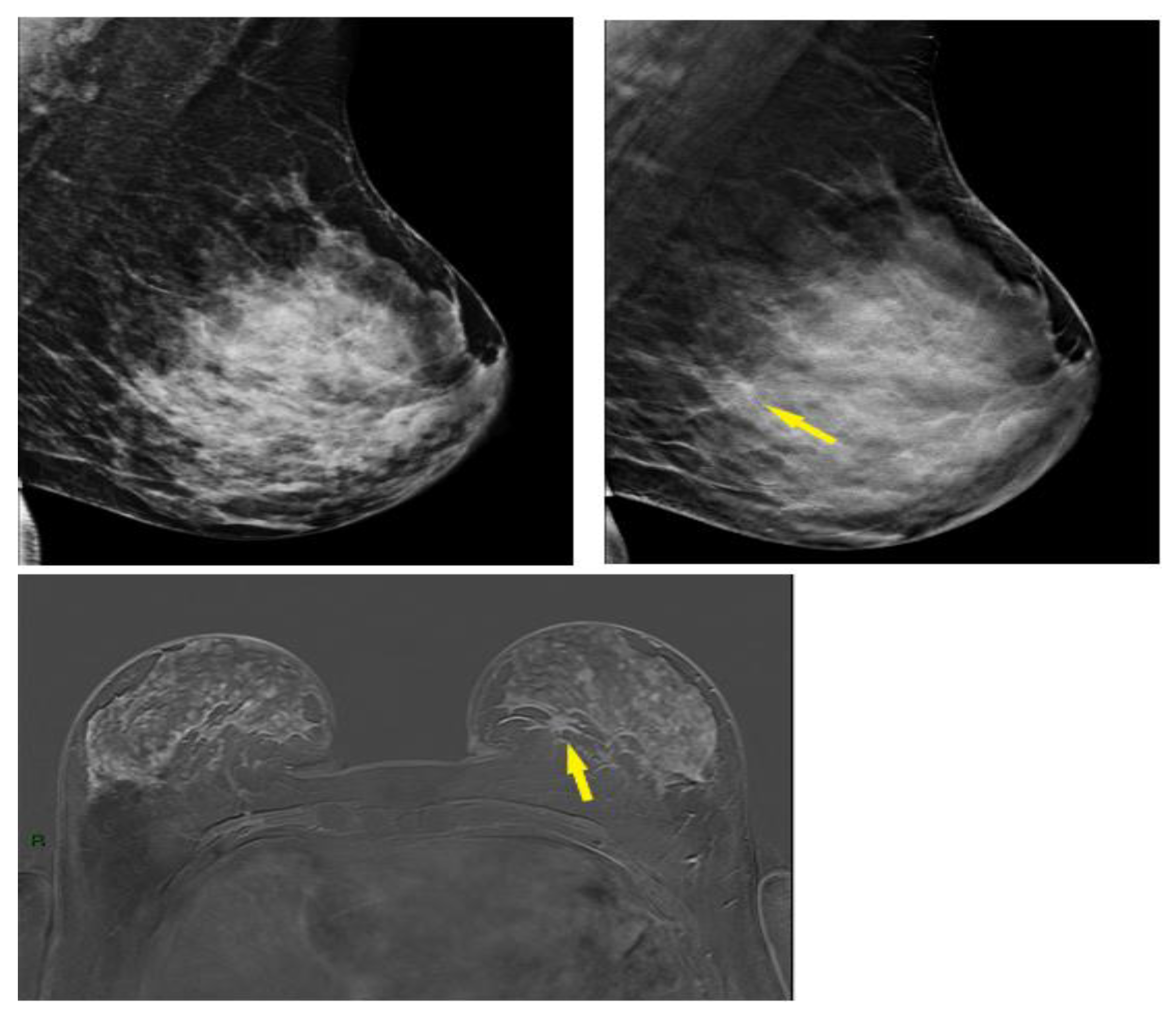 Preprints 145668 g004