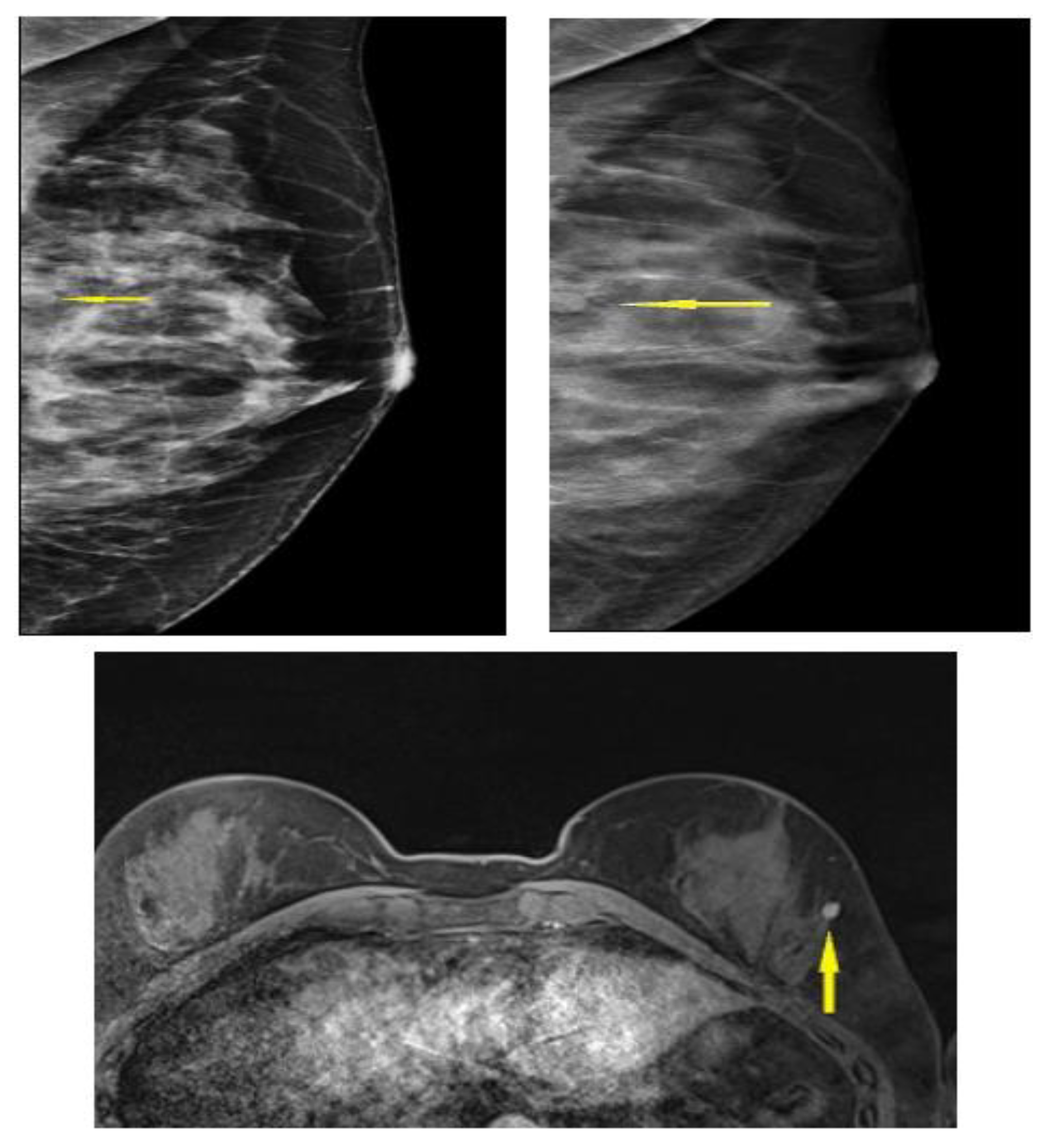 Preprints 145668 g005