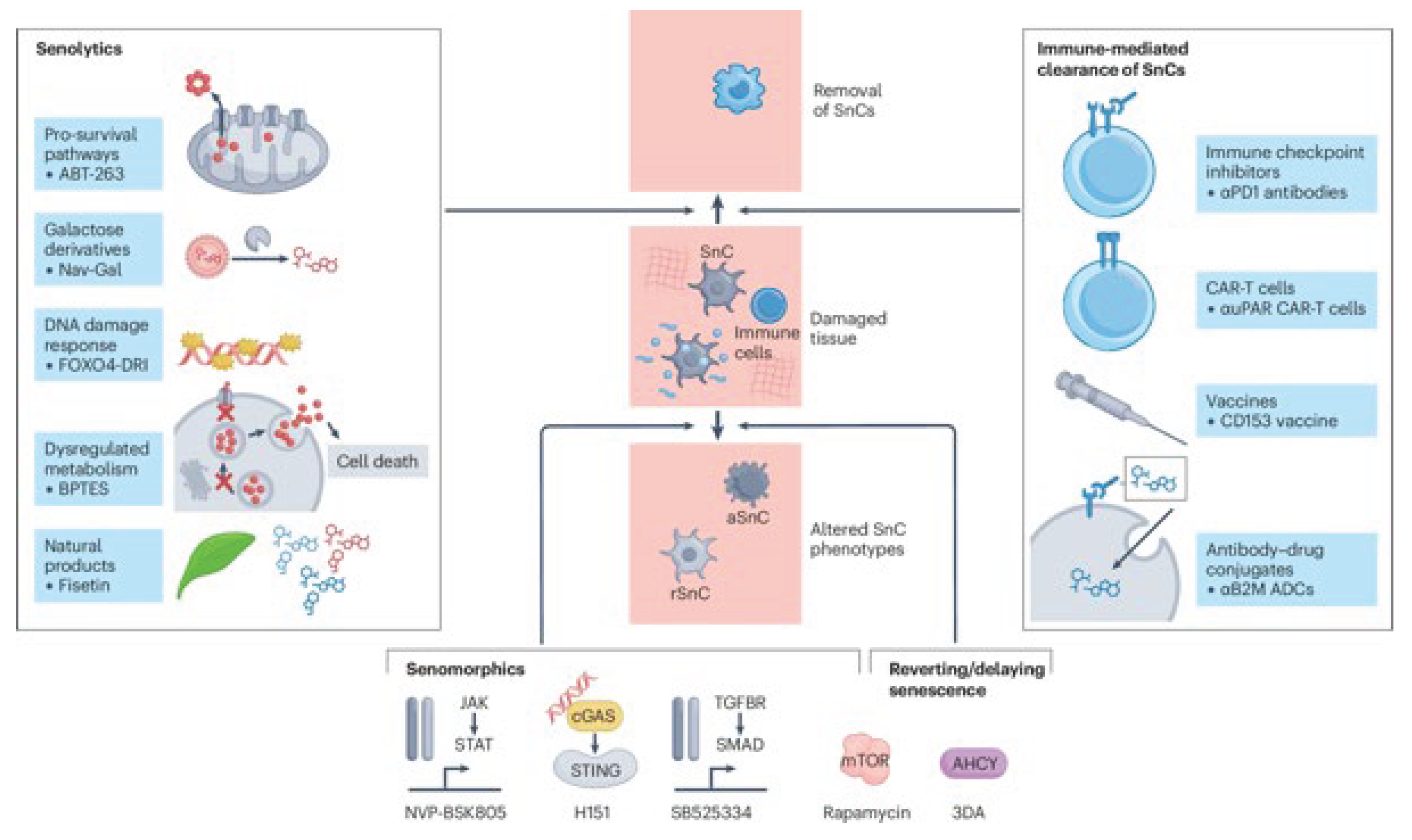 Preprints 174420 g002