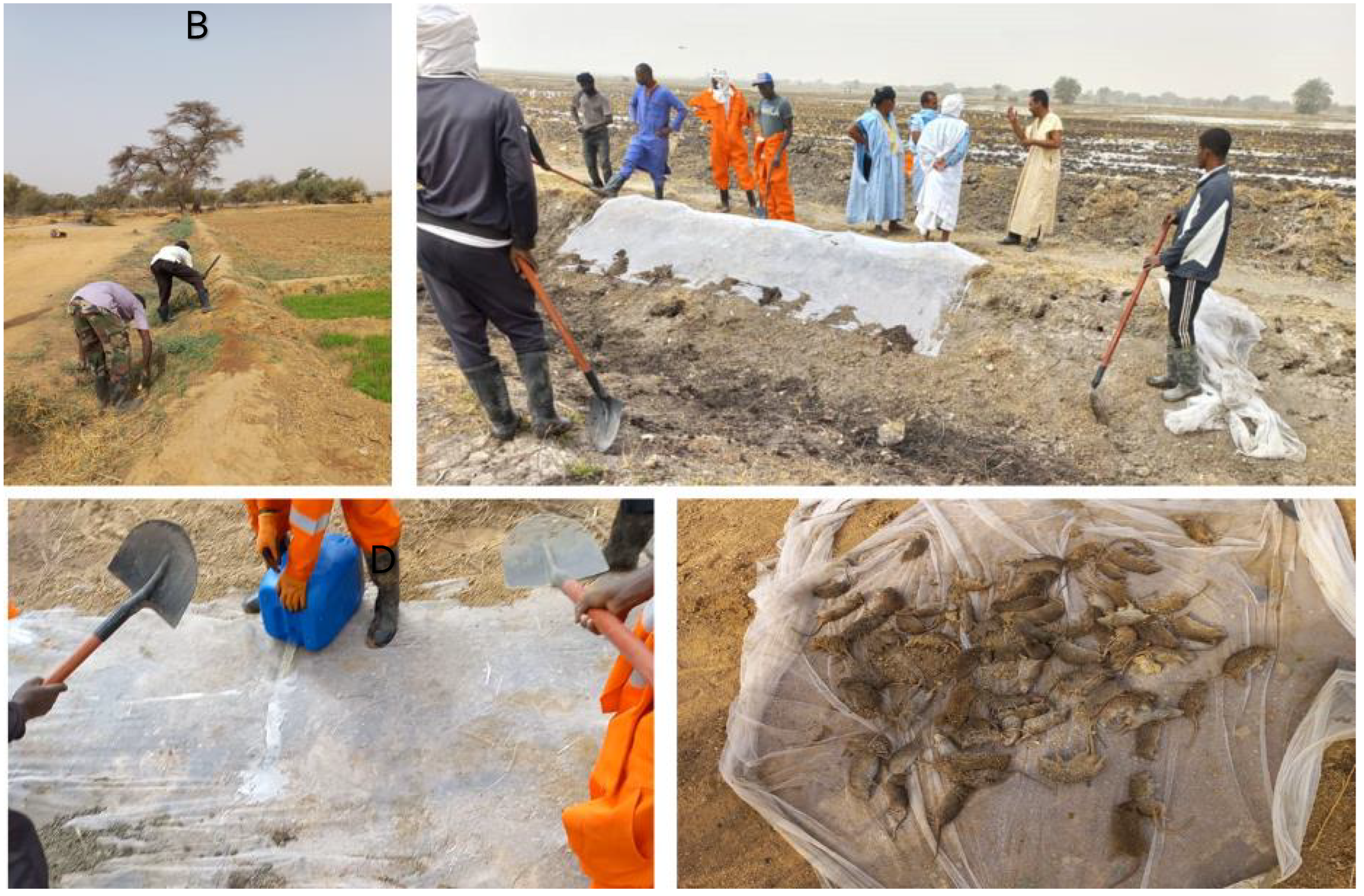 Preprints 71965 g004