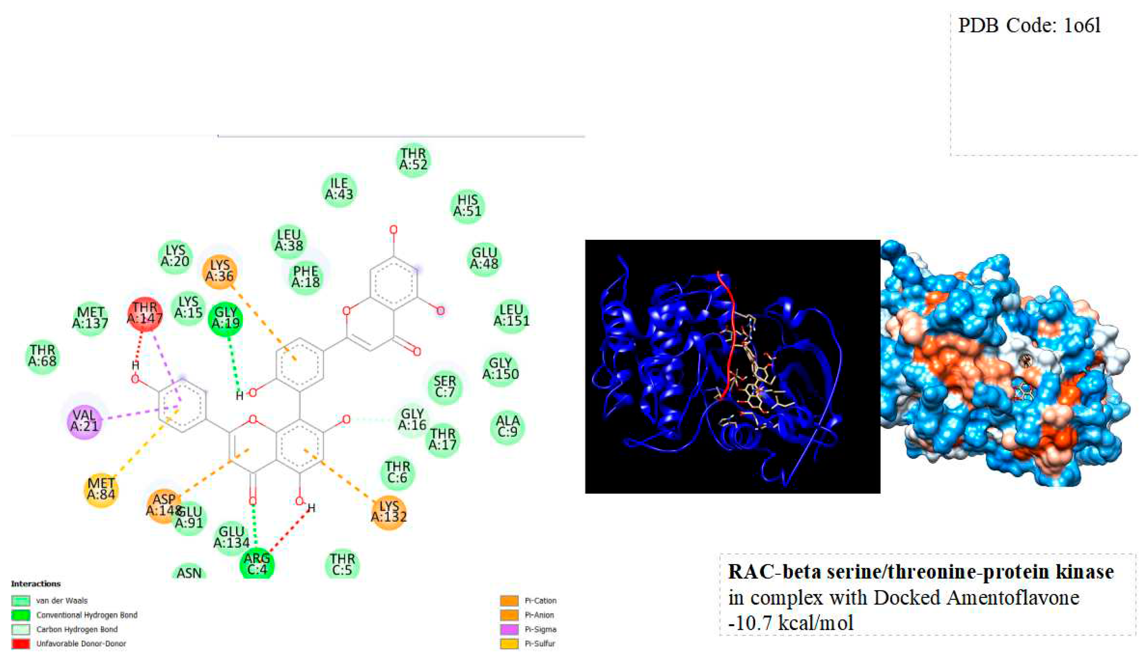 Preprints 91516 g004