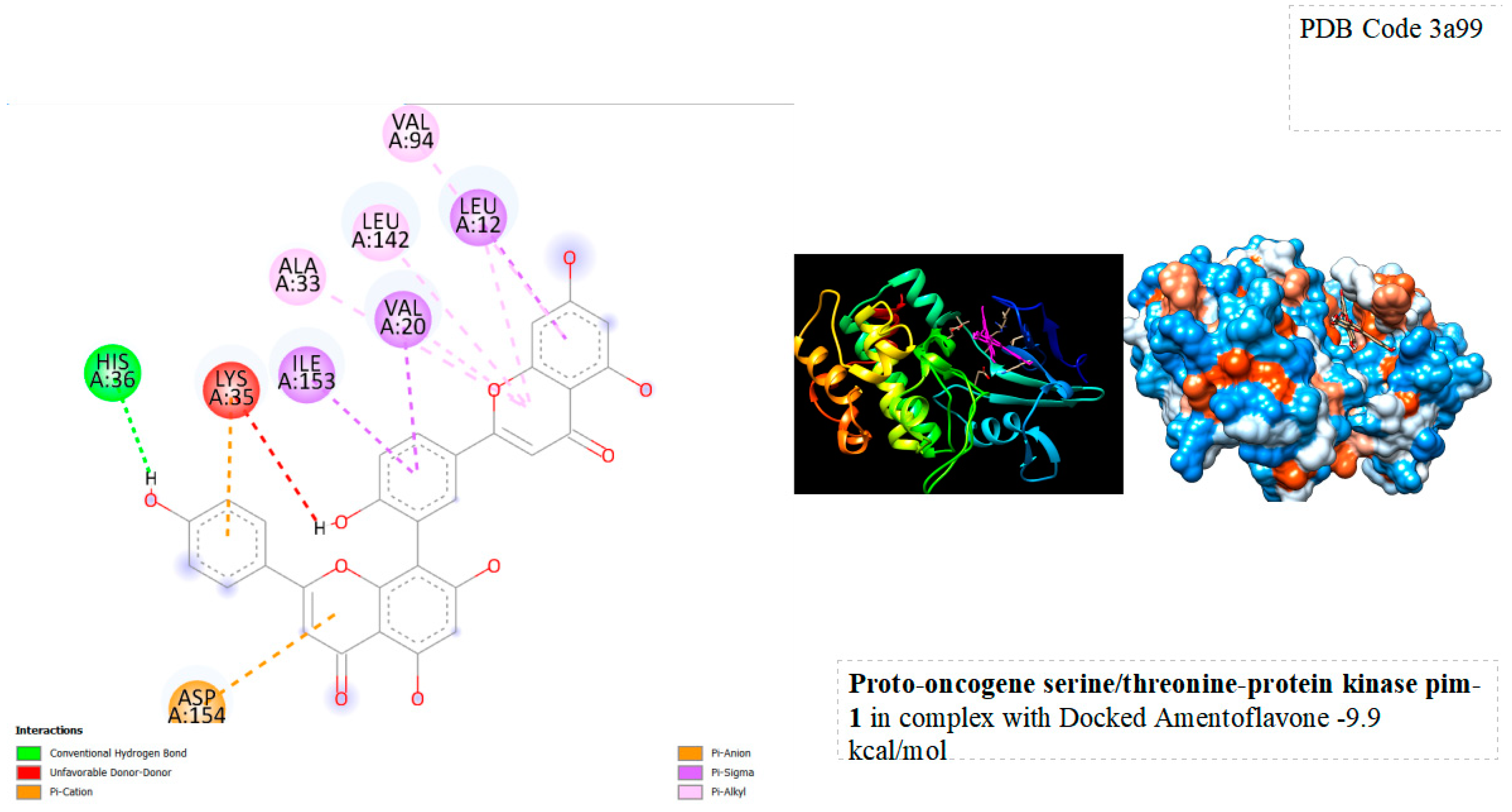 Preprints 91516 g005