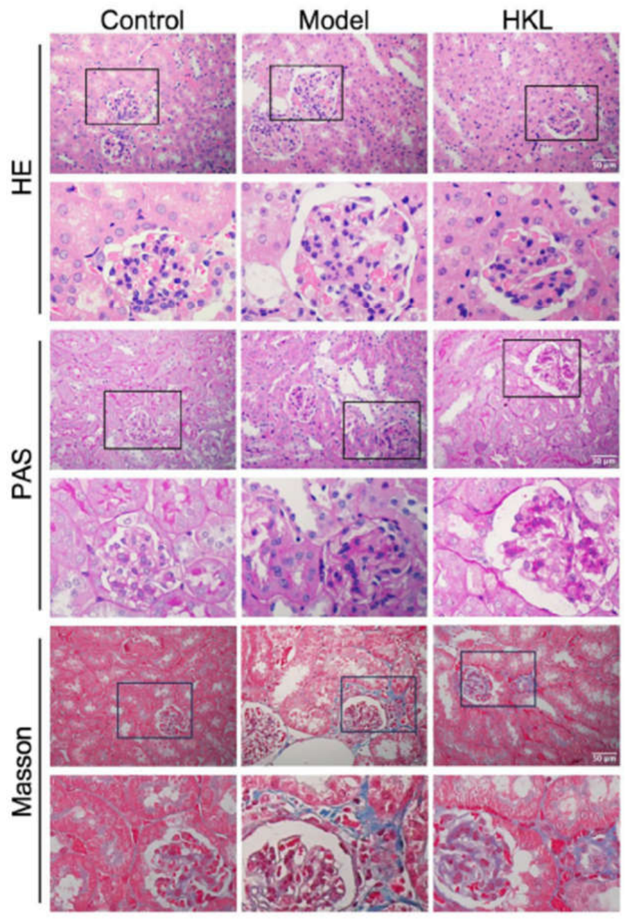 Preprints 235597 g002 Preprints 235597 g002