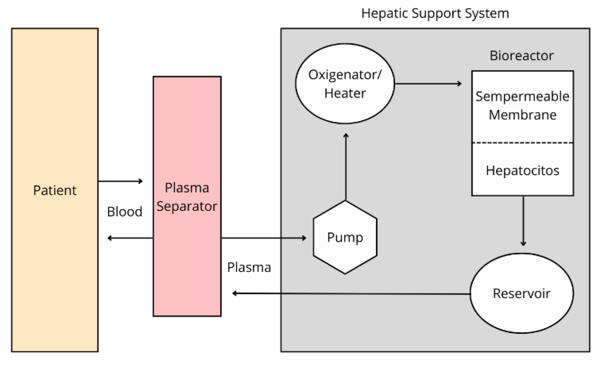 Preprints 172669 g001