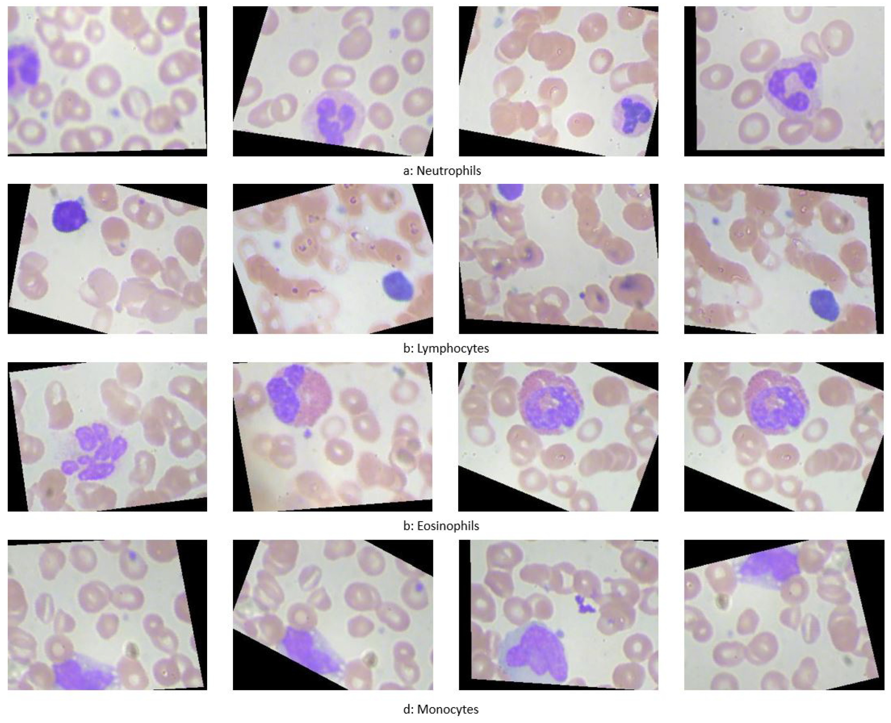 Preprints 119250 g001