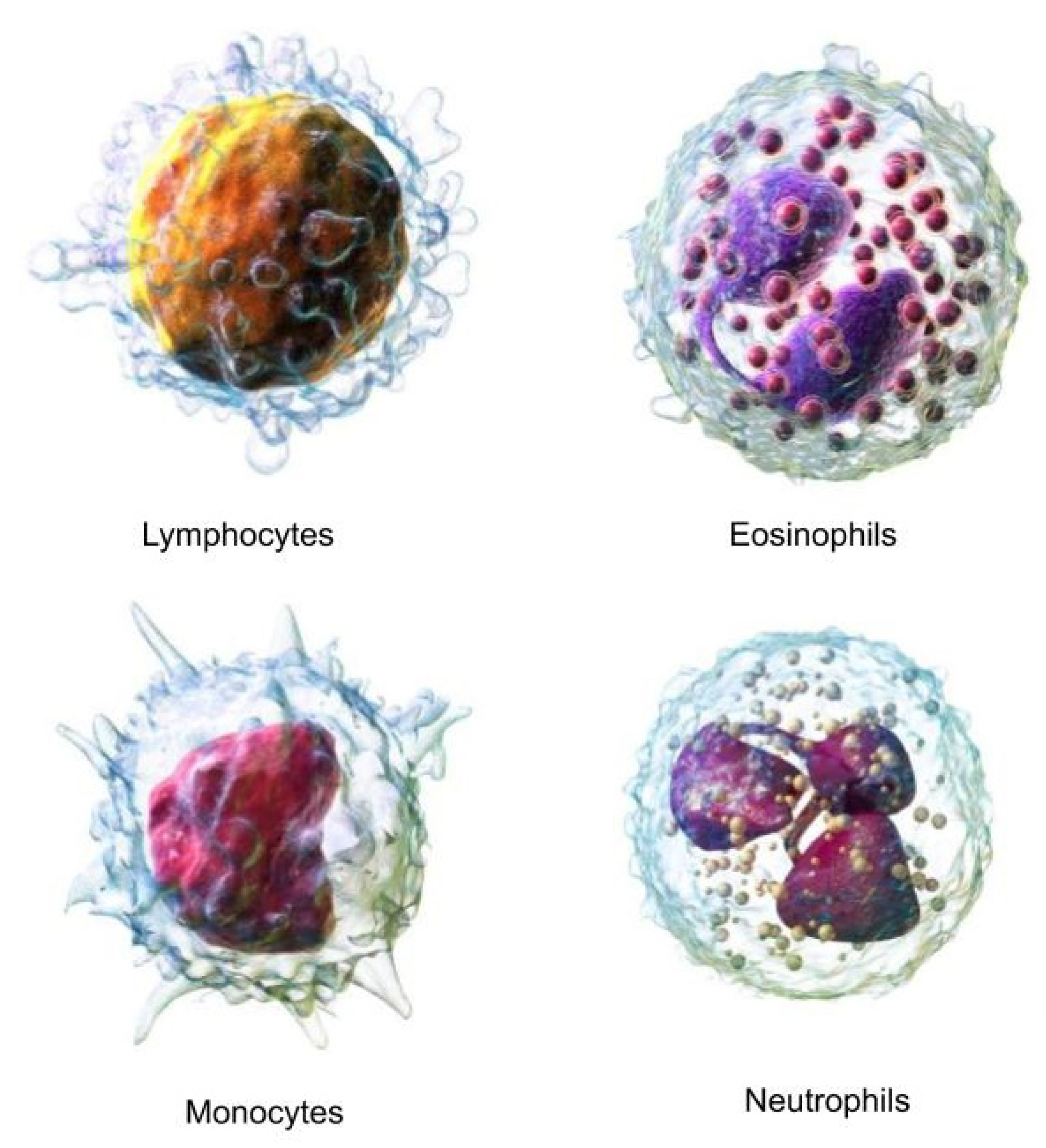 Preprints 119250 g002