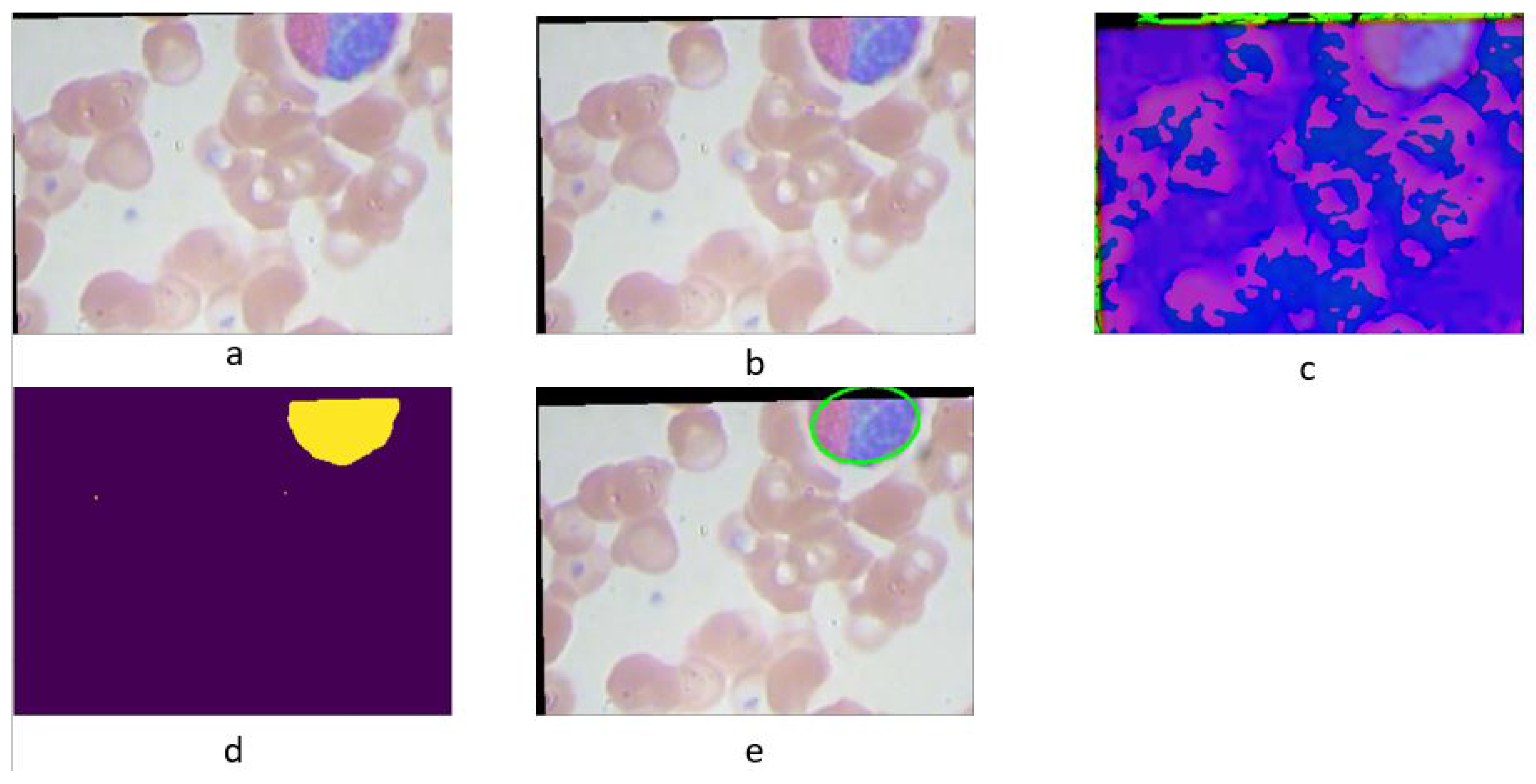 Preprints 119250 g003