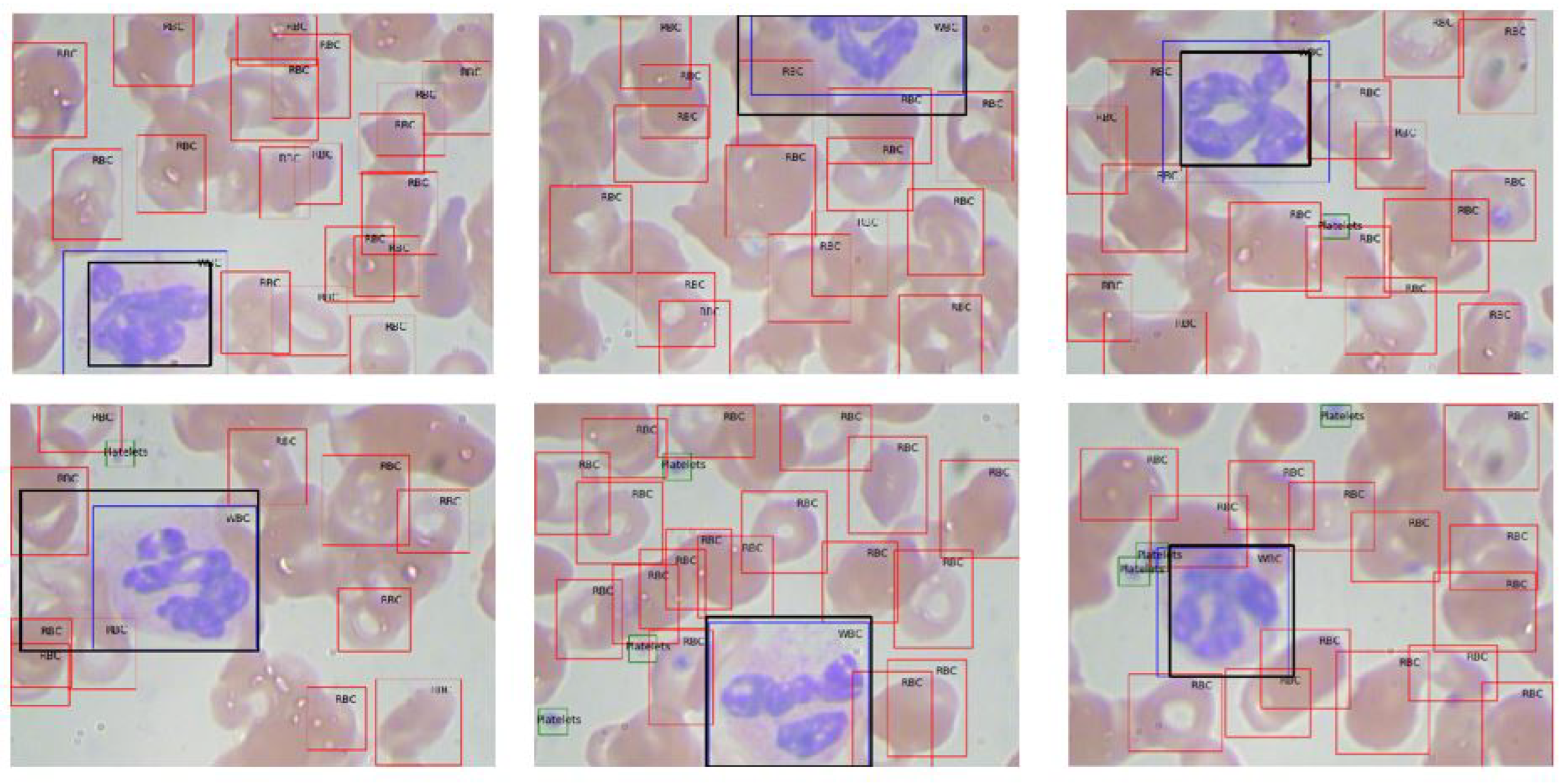 Preprints 119250 g008