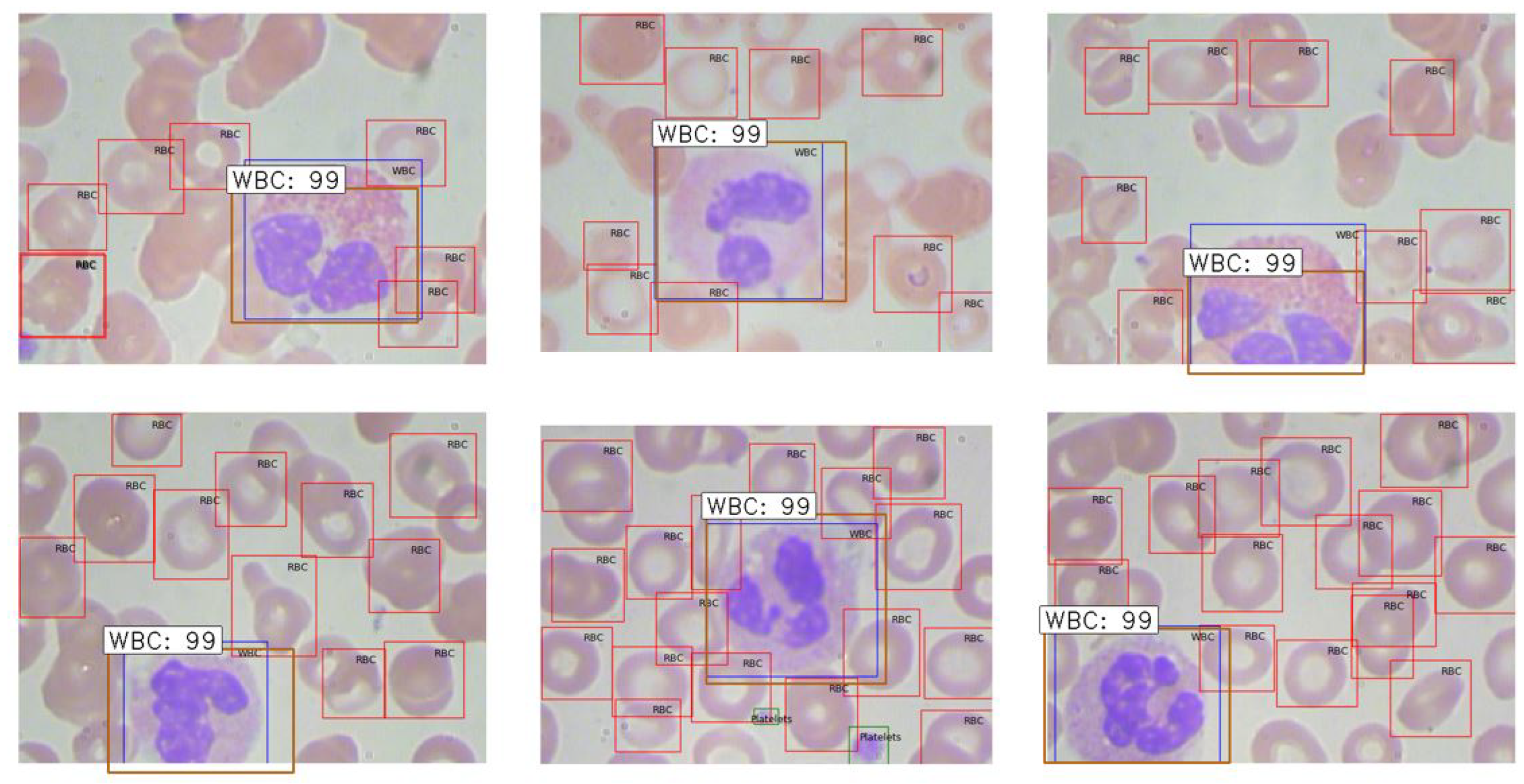 Preprints 119250 g010