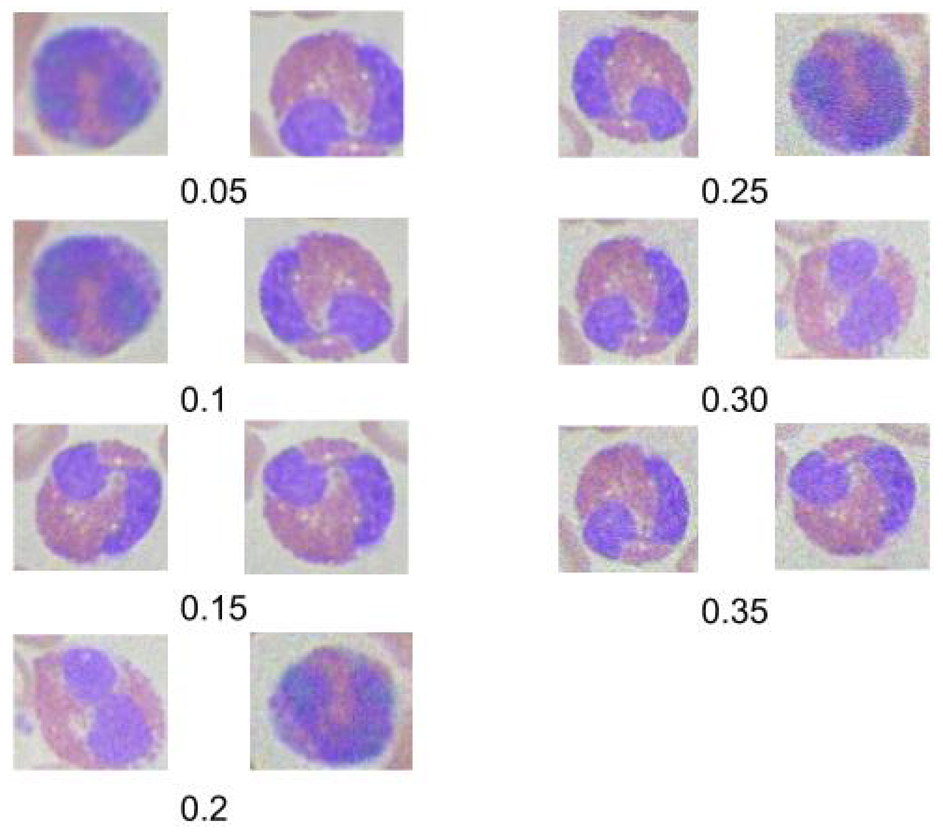 Preprints 119250 g011