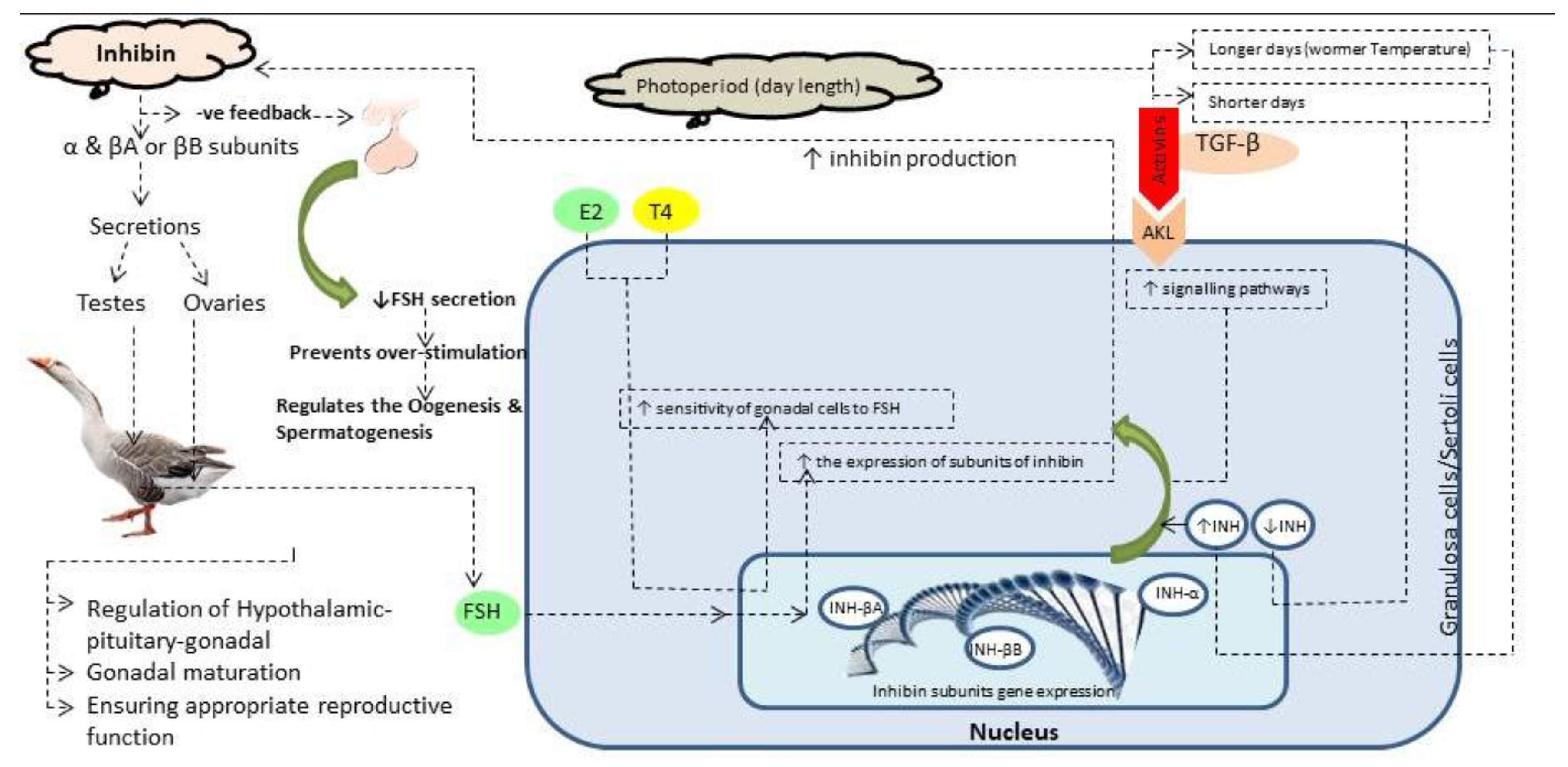 Preprints 147739 g001