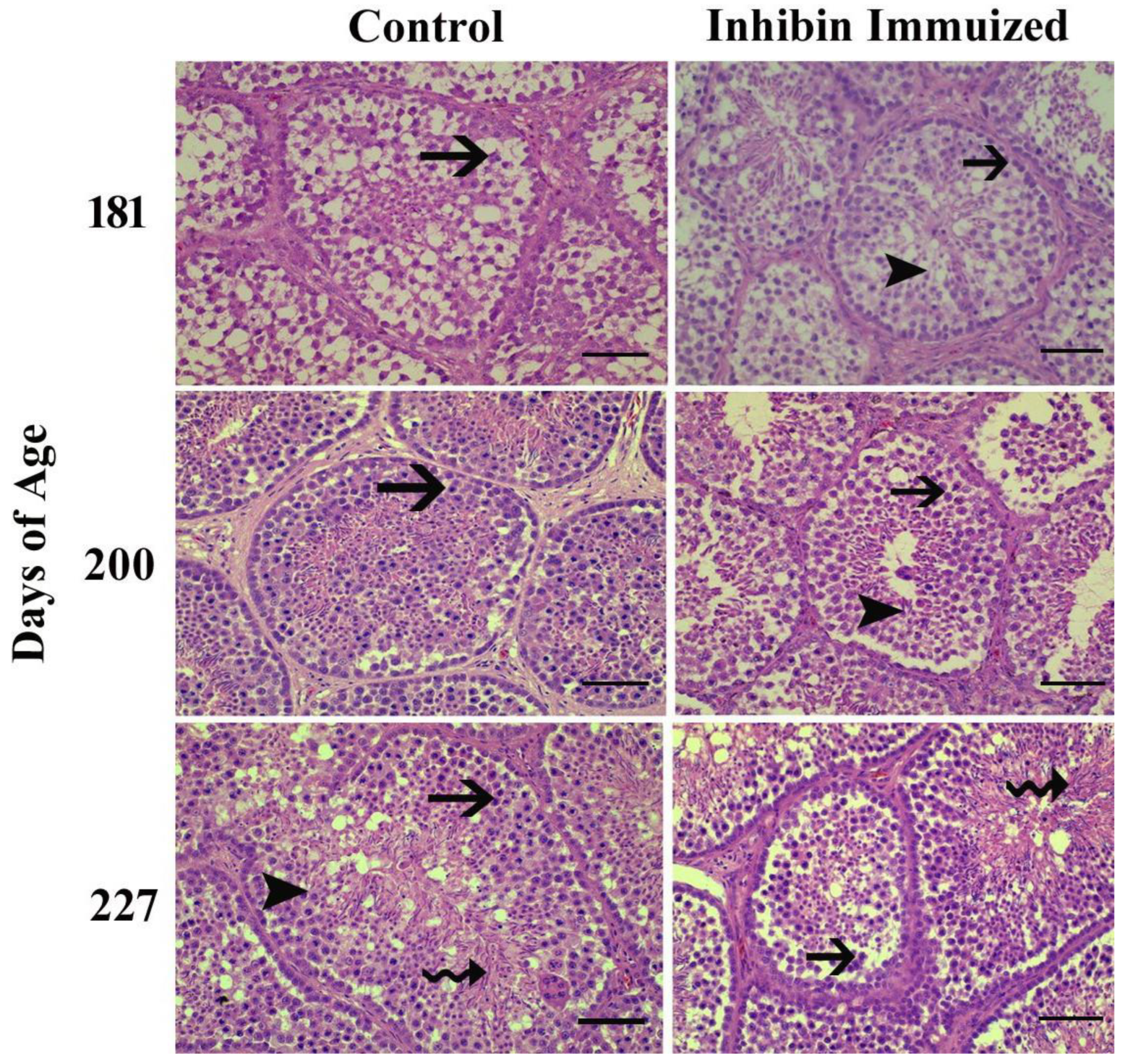 Preprints 147739 g002