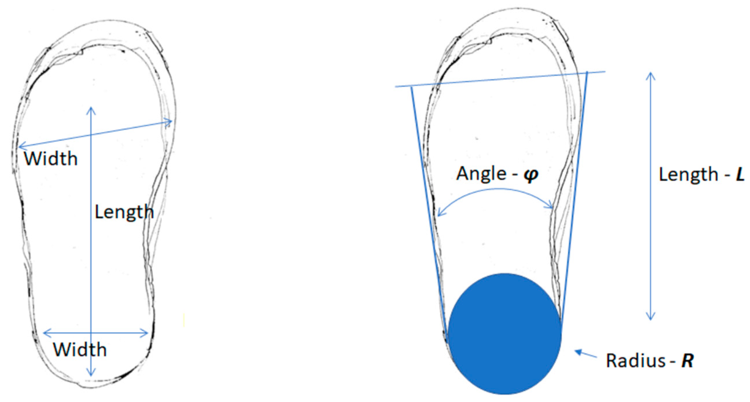 Preprints 73590 g005