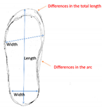 Preprints 73590 i006