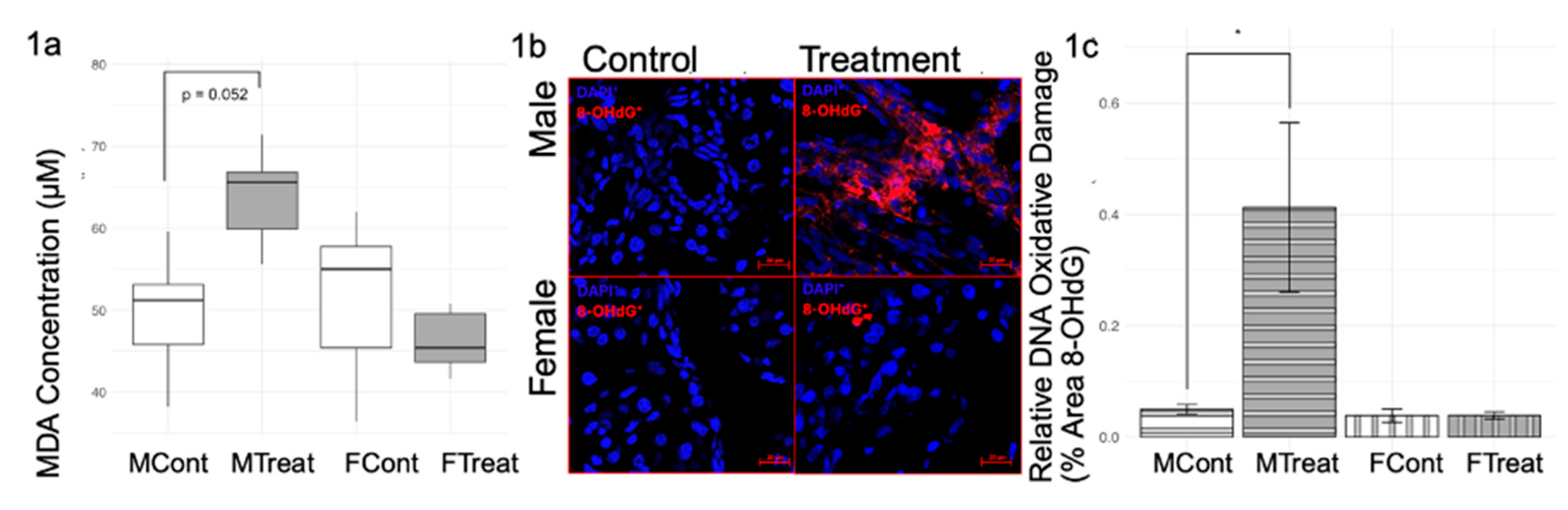 Preprints 187901 g001