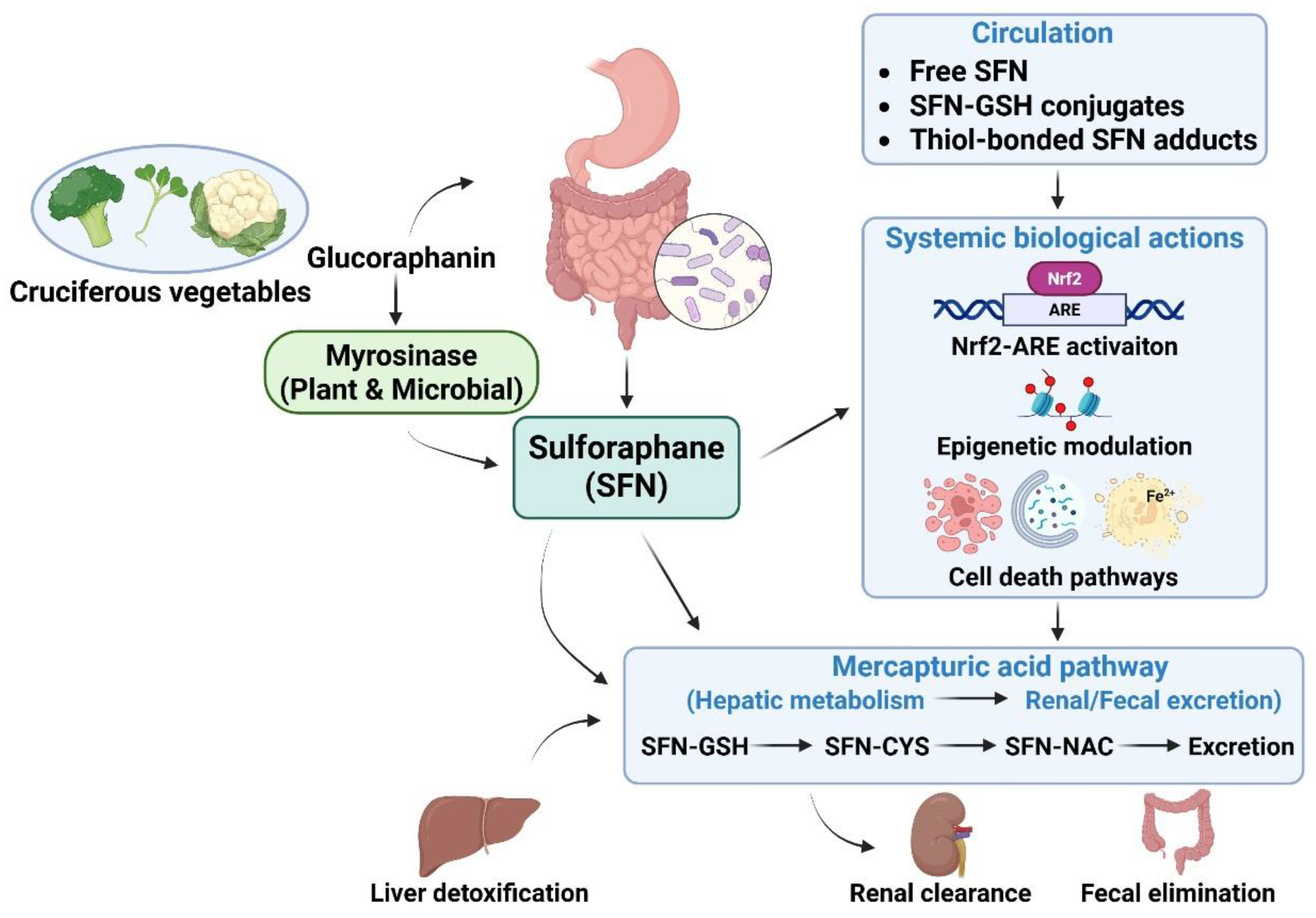 Preprints 192101 g001