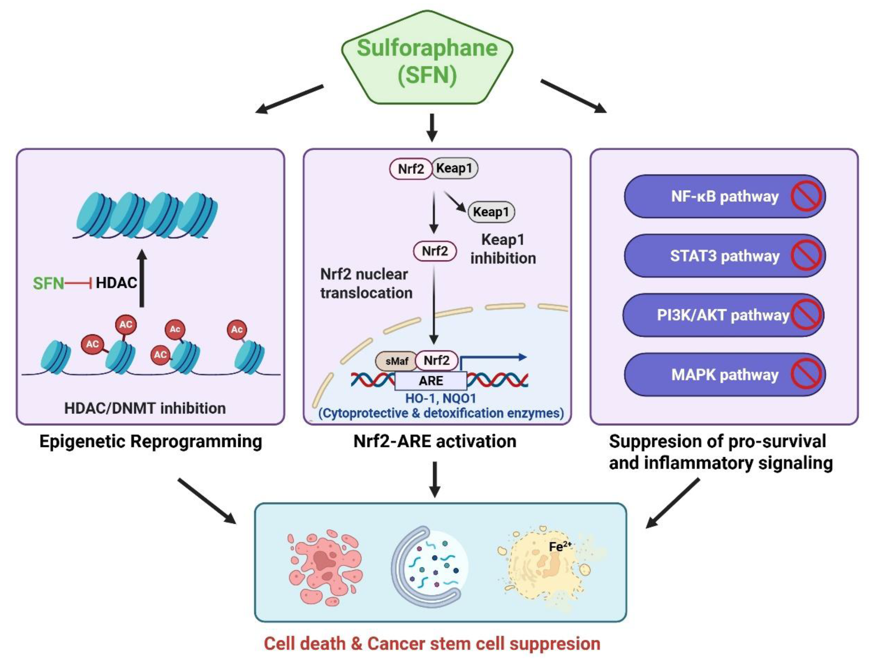 Preprints 192101 g002