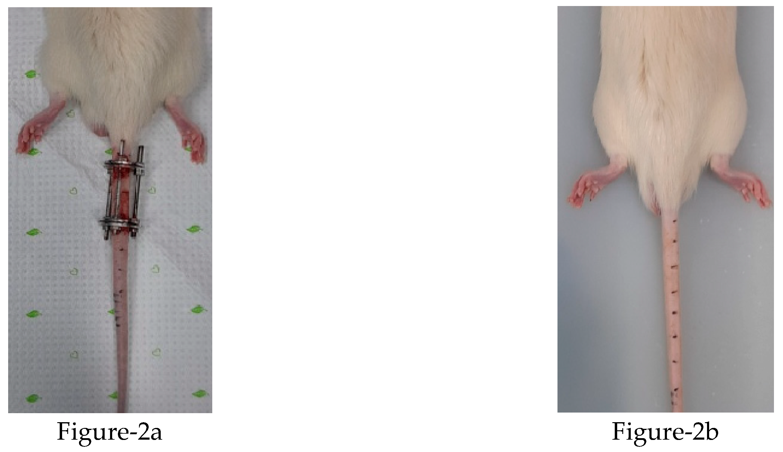 Preprints 69869 g002