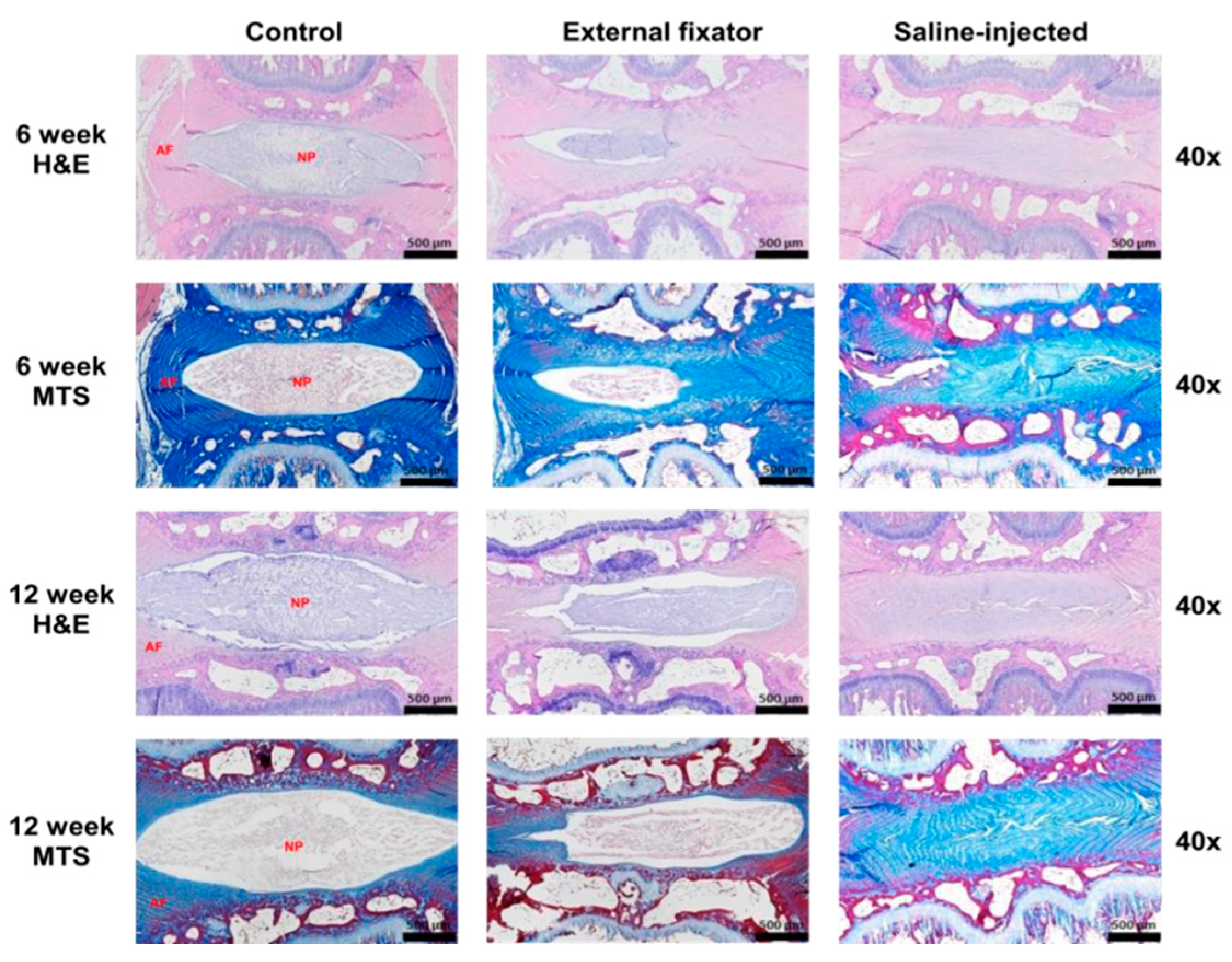 Preprints 69869 g003