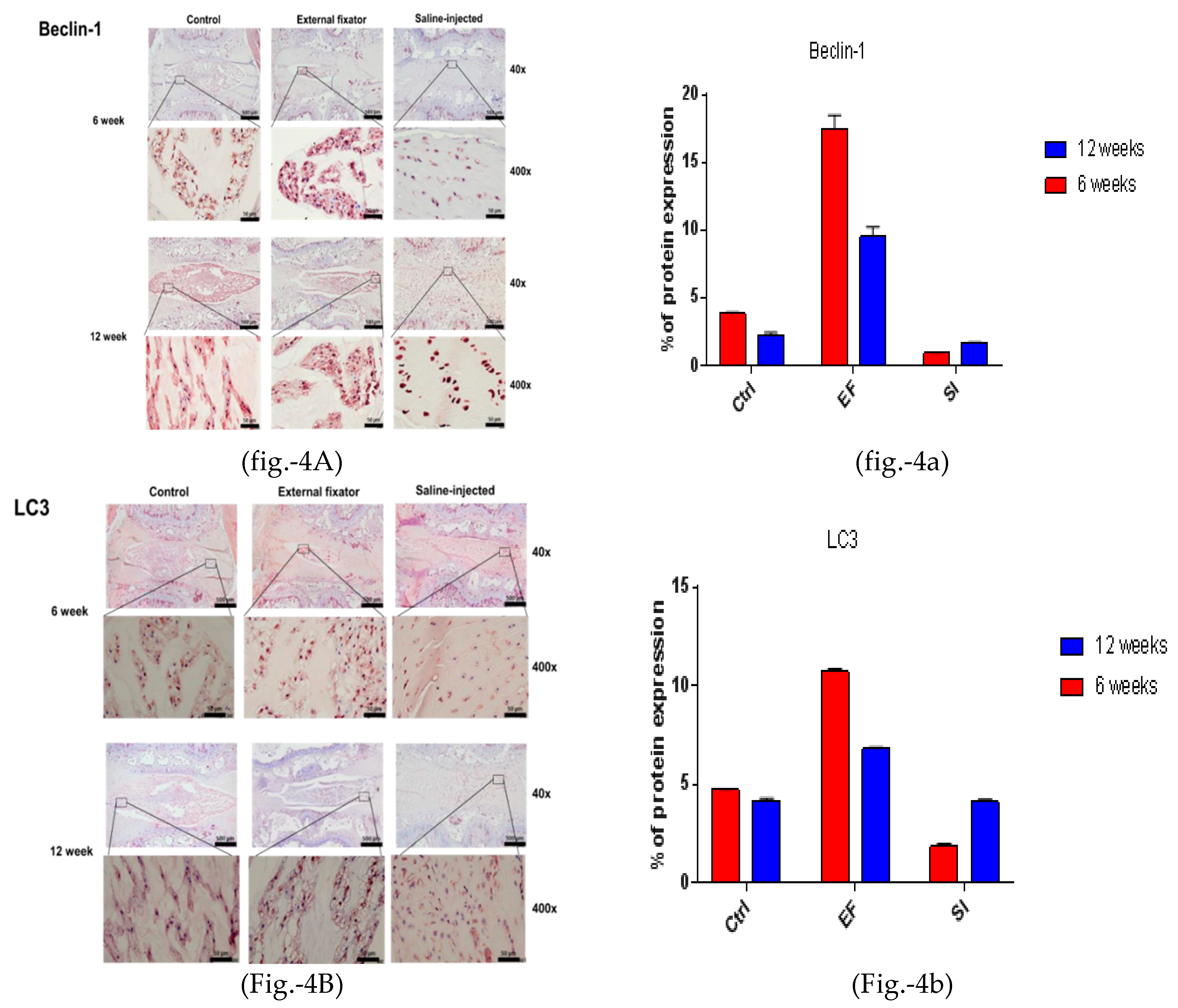 Preprints 69869 g004a