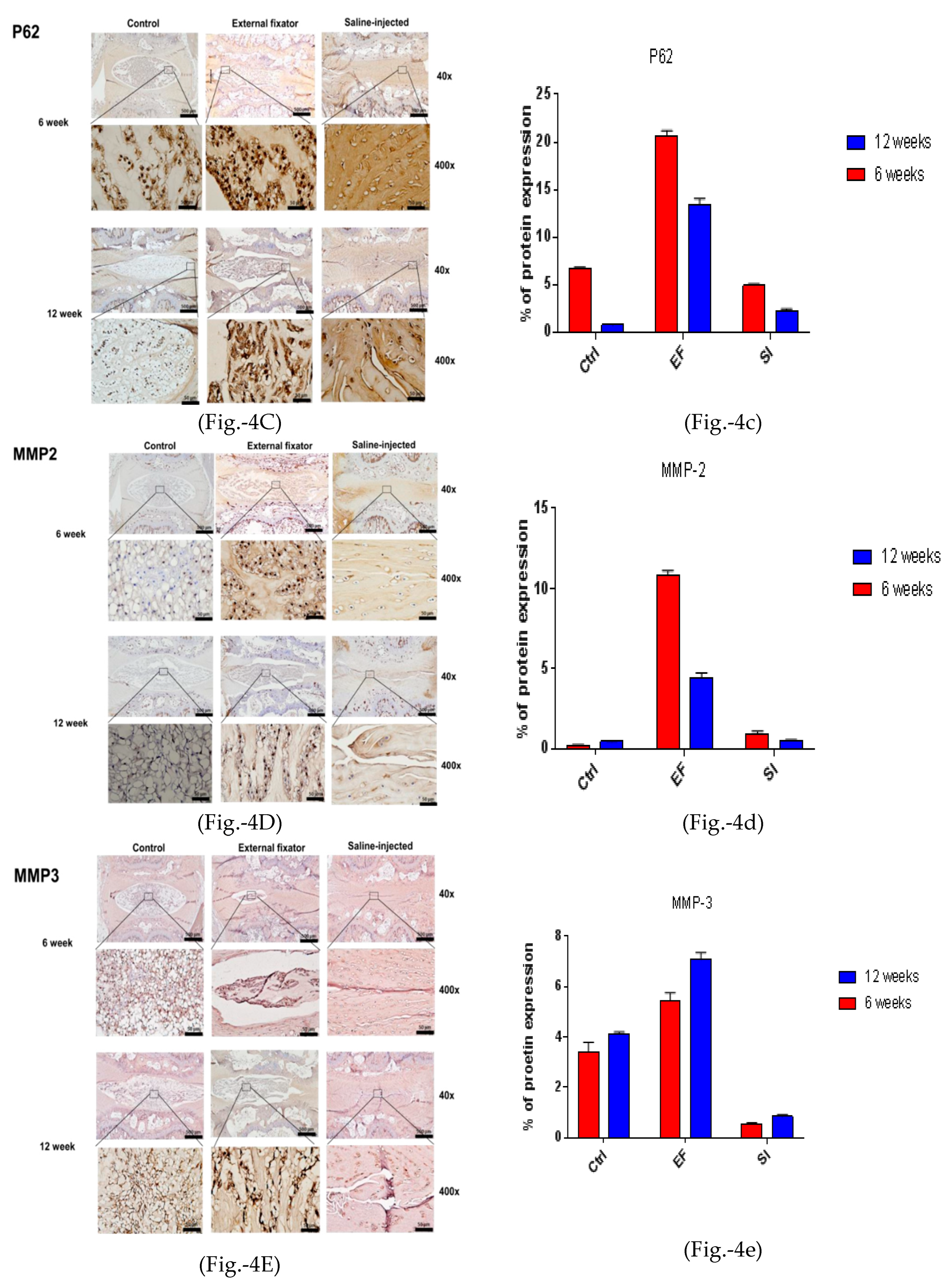 Preprints 69869 g004b