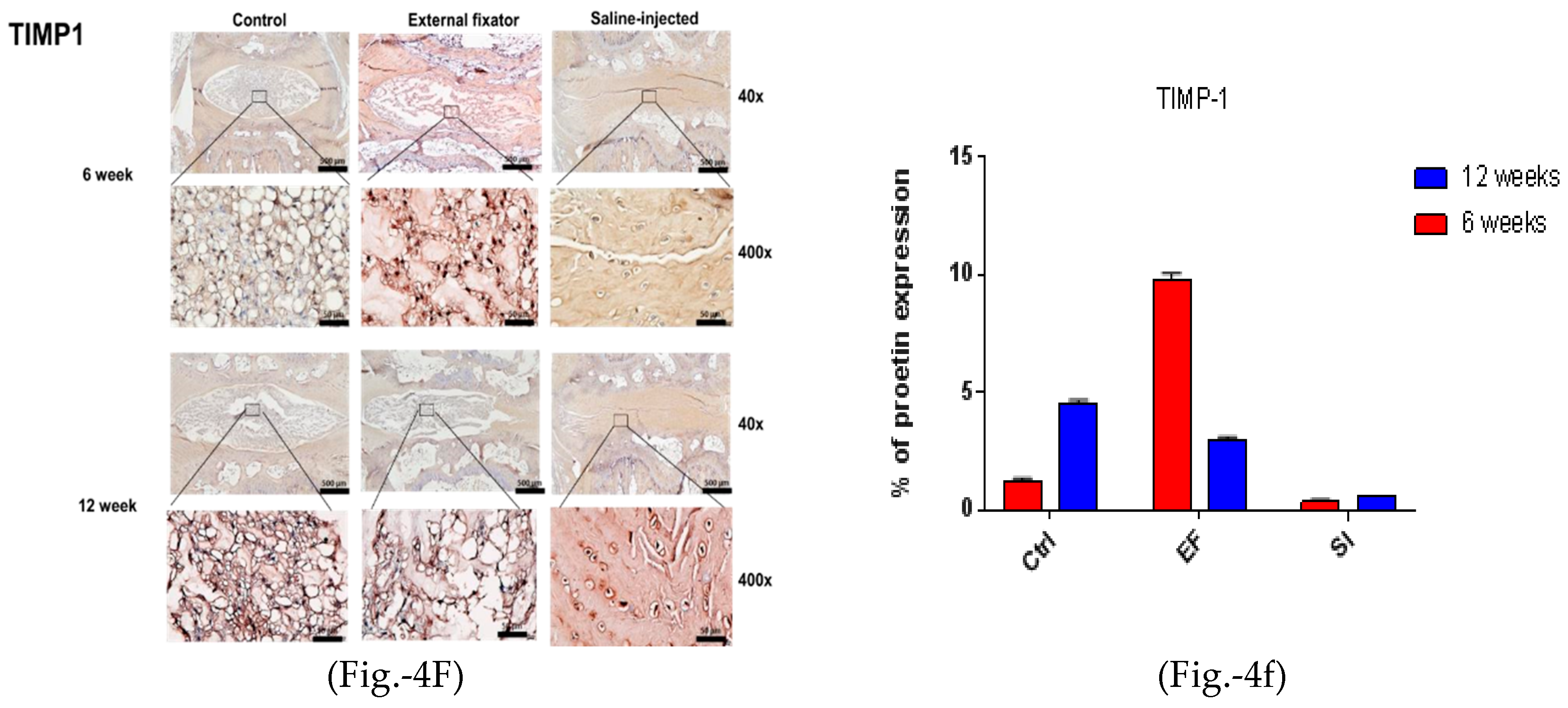 Preprints 69869 g004c