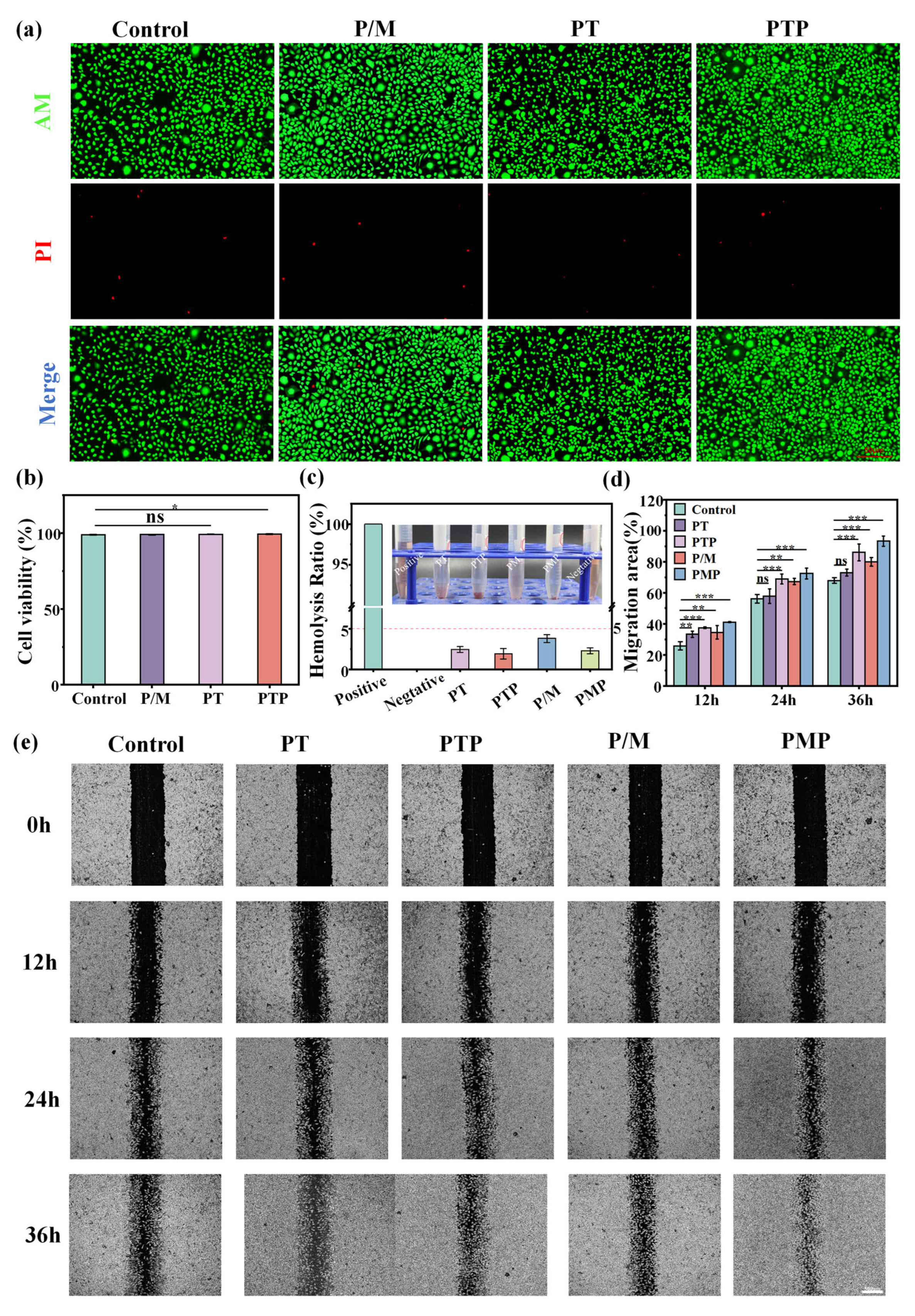 Preprints 205186 g006