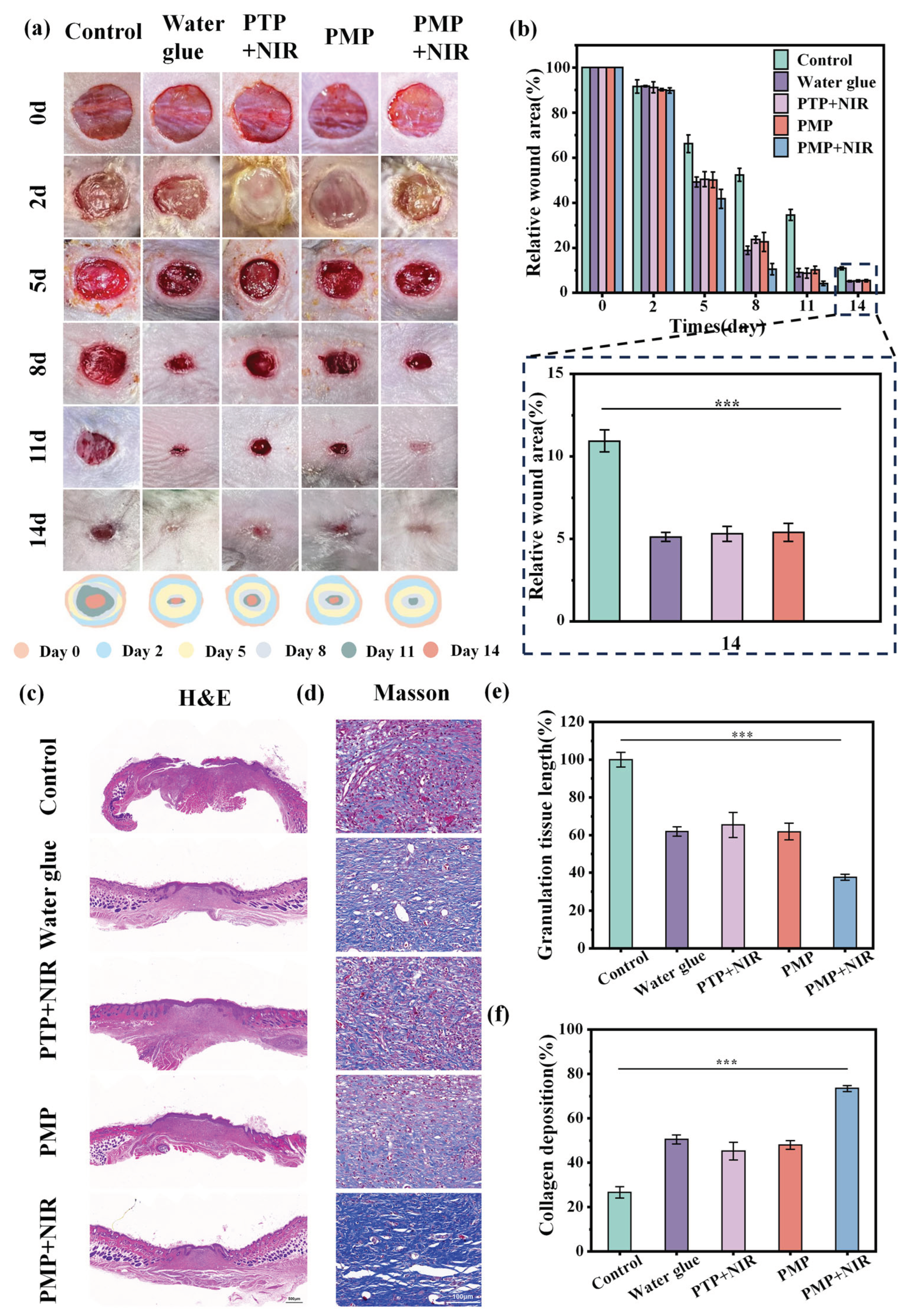 Preprints 205186 g007
