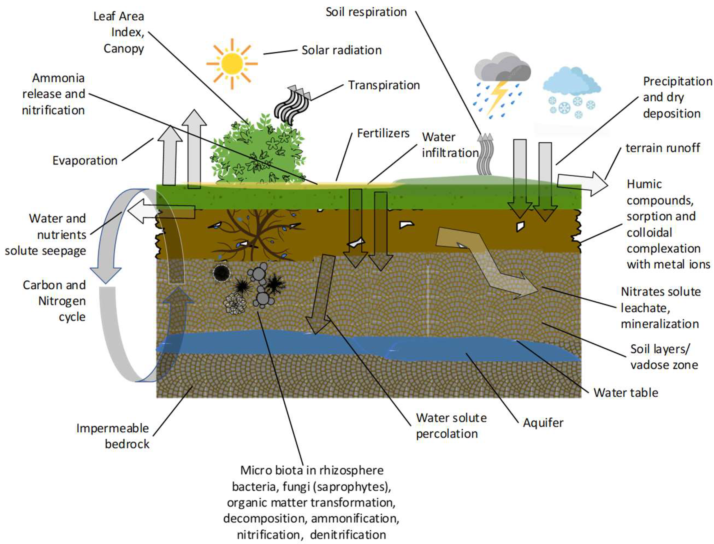 Preprints 120691 g001